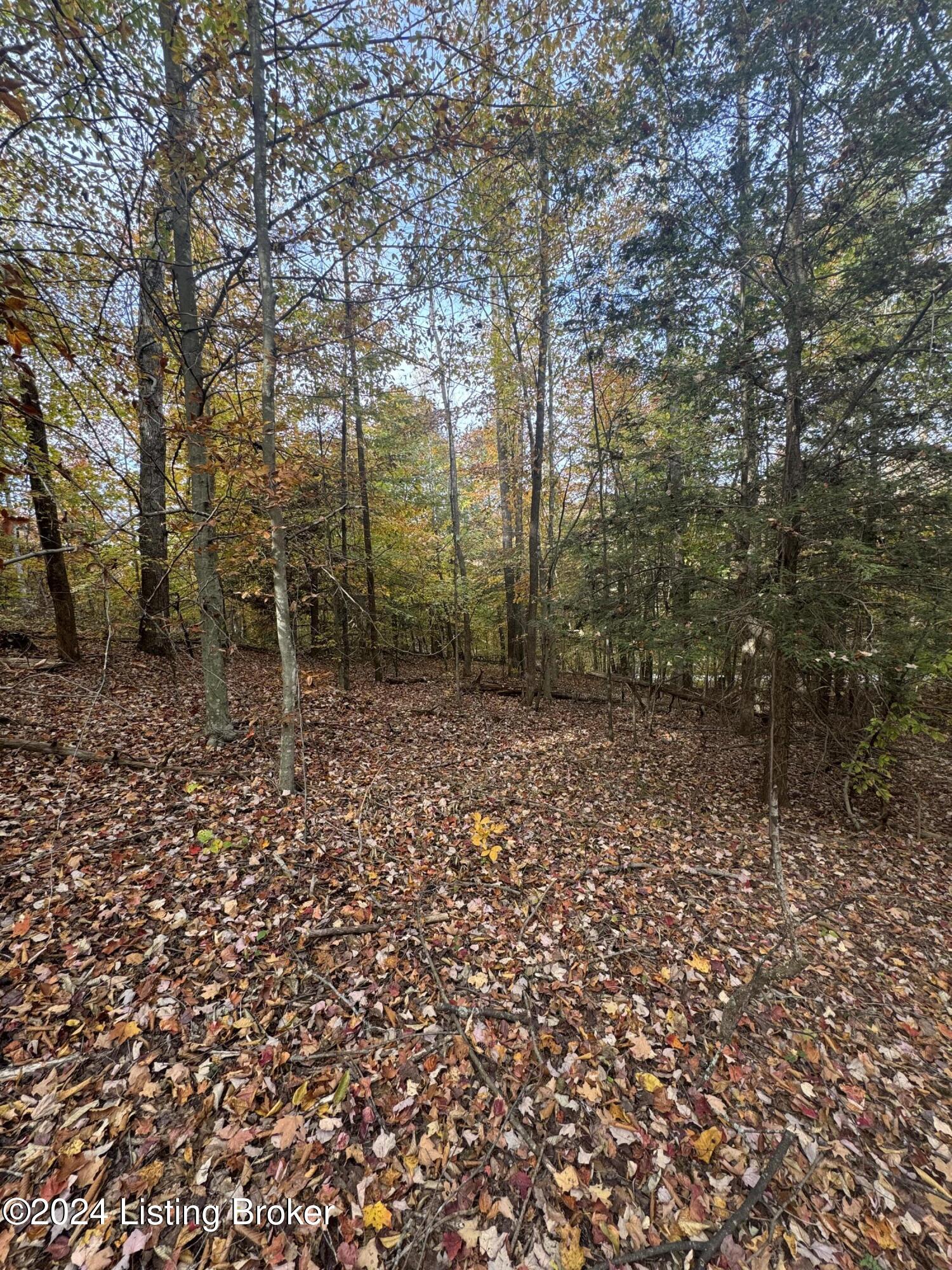 Ditney Ridge Rd, Morehead, Kentucky image 15