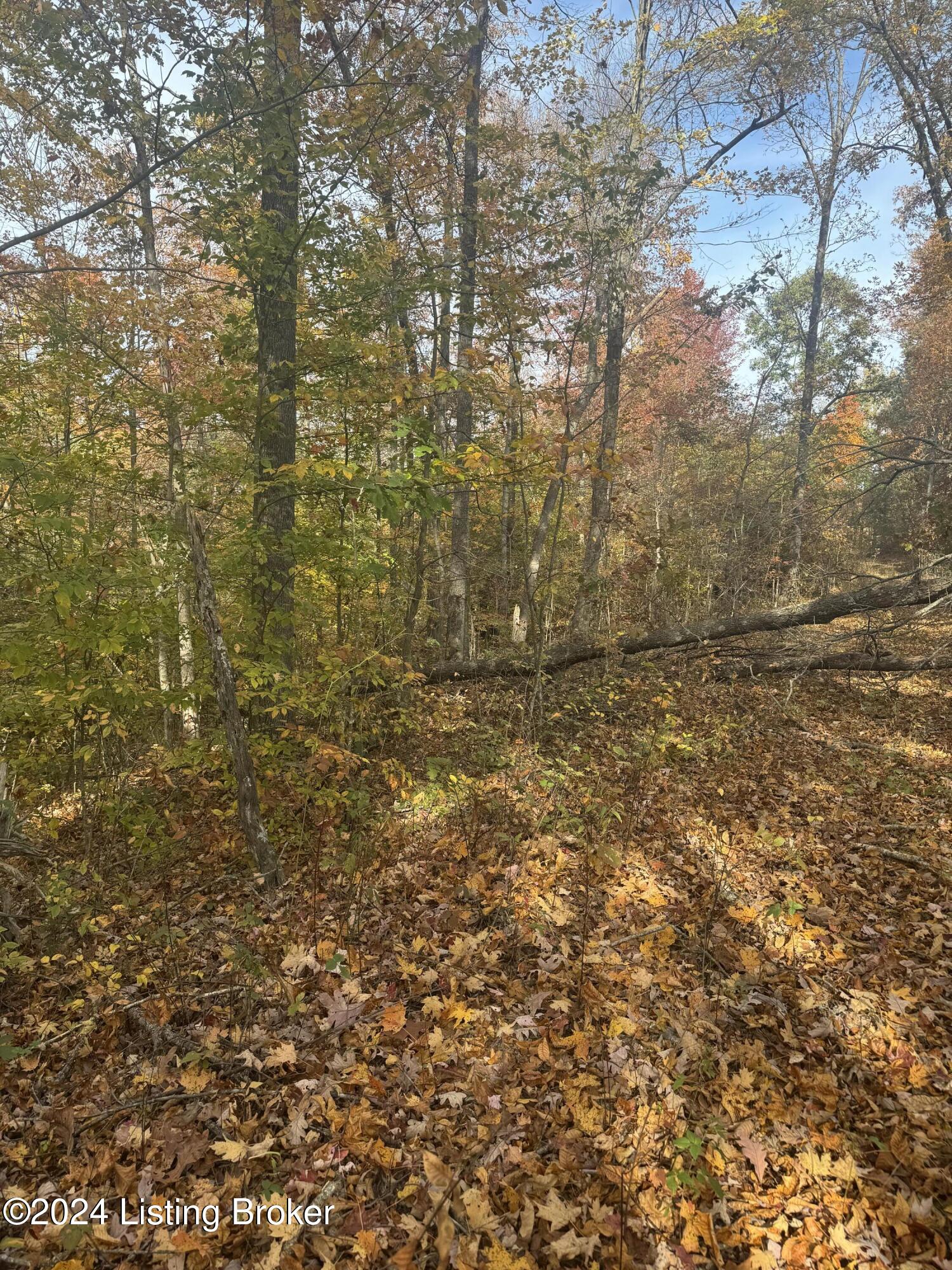 Ditney Ridge Rd, Morehead, Kentucky image 27