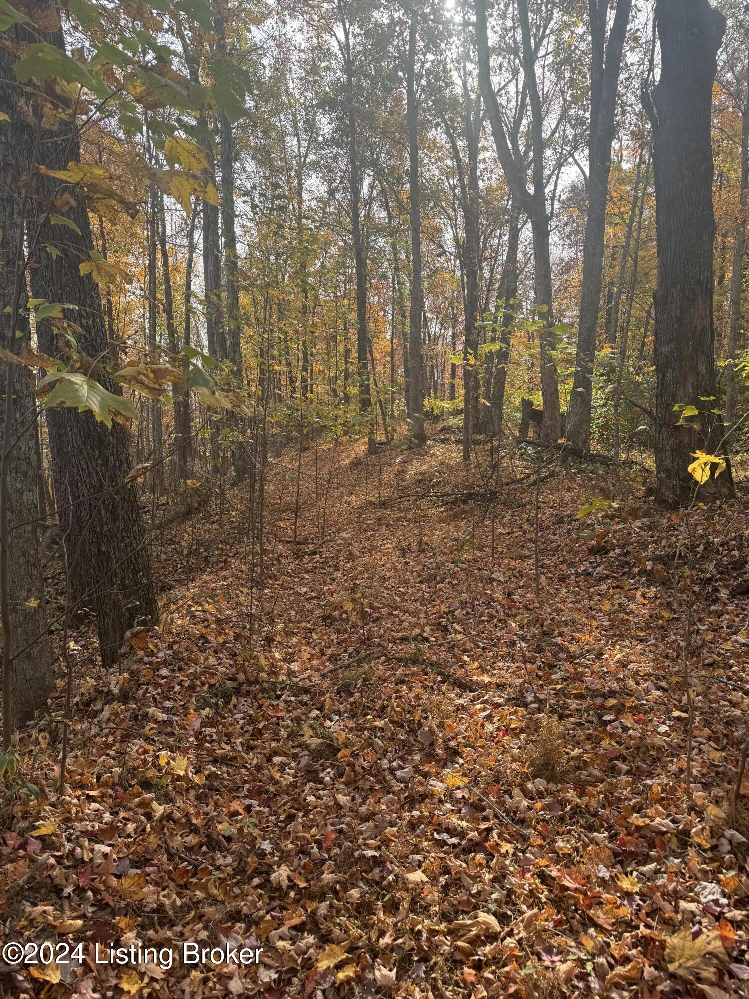 Ditney Ridge Rd, Morehead, Kentucky image 36