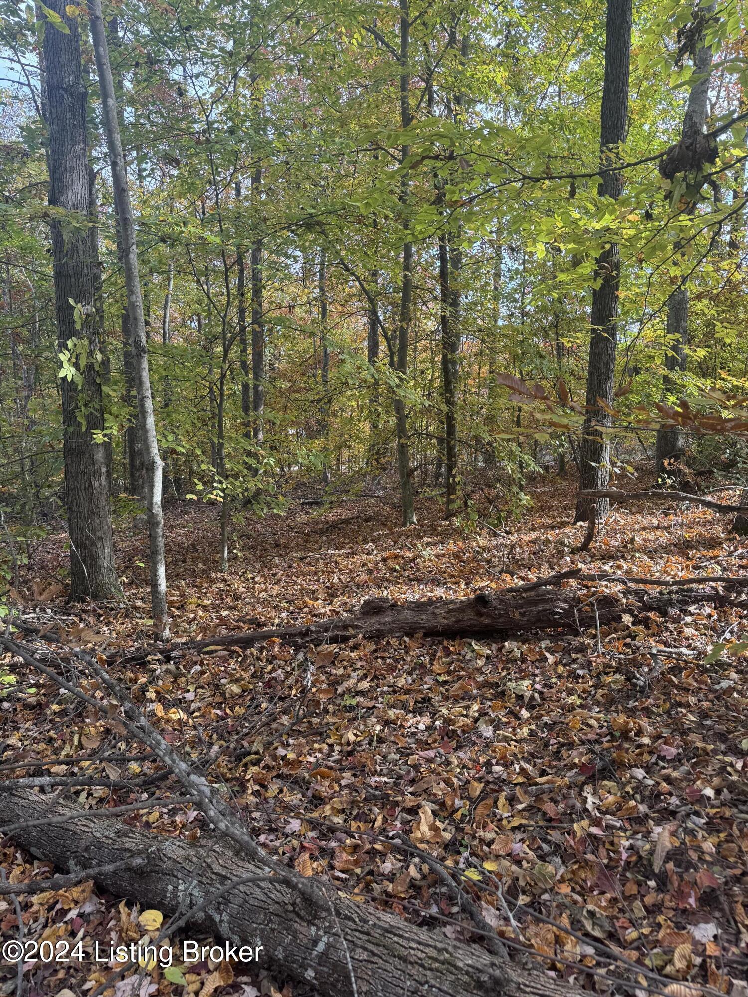 Ditney Ridge Rd, Morehead, Kentucky image 16