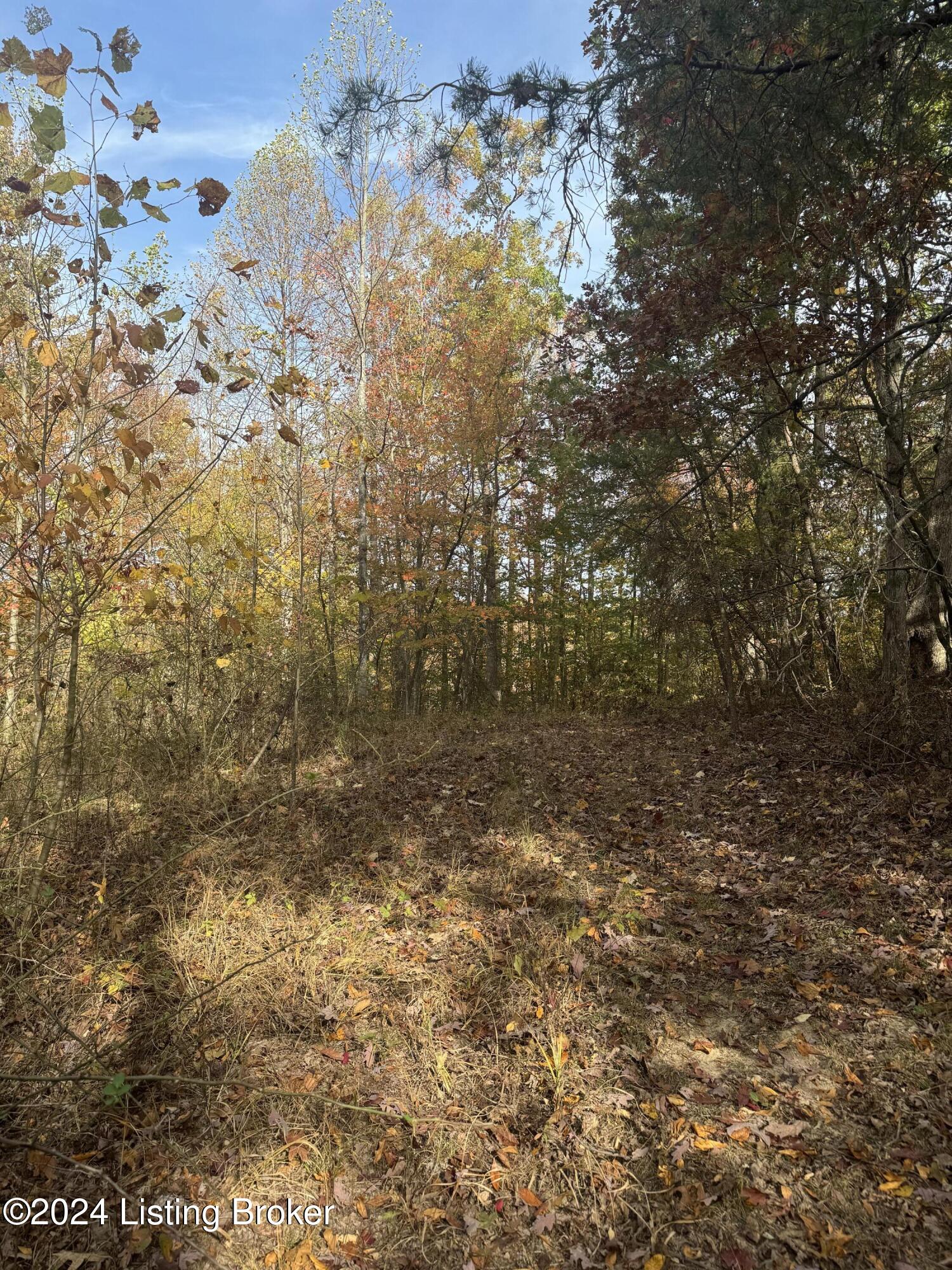 Ditney Ridge Rd, Morehead, Kentucky image 24