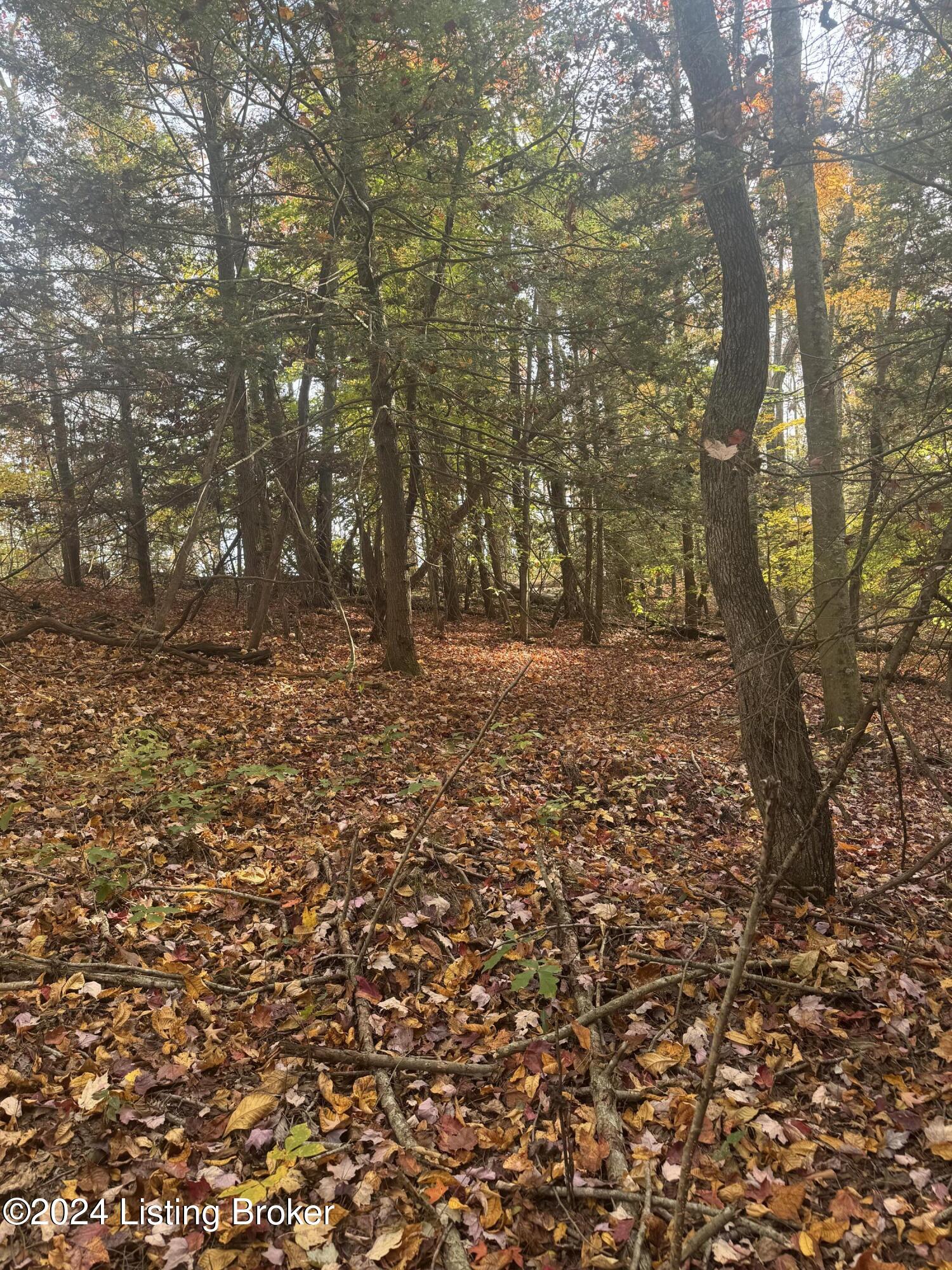 Ditney Ridge Rd, Morehead, Kentucky image 26
