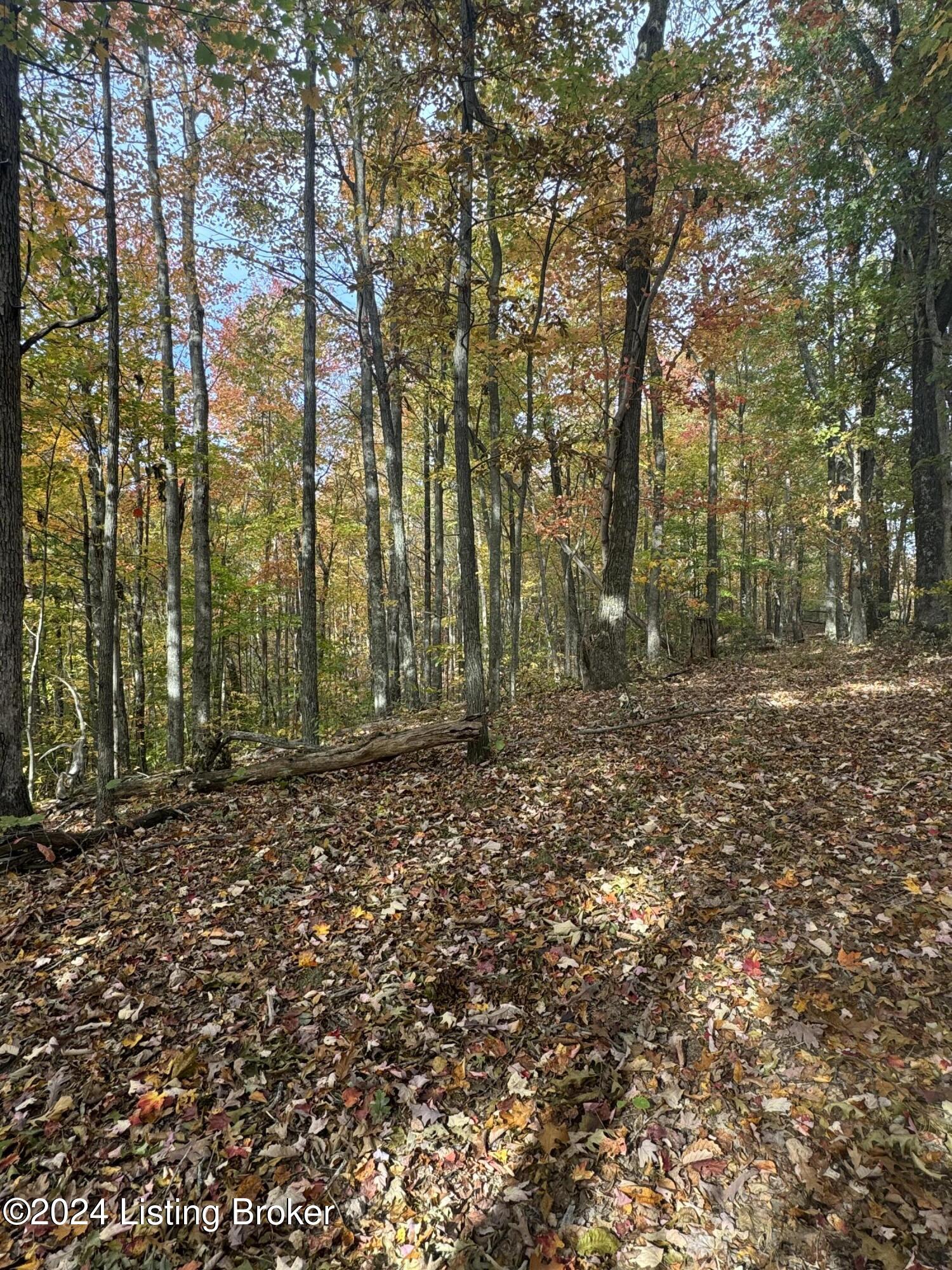 Ditney Ridge Rd, Morehead, Kentucky image 38