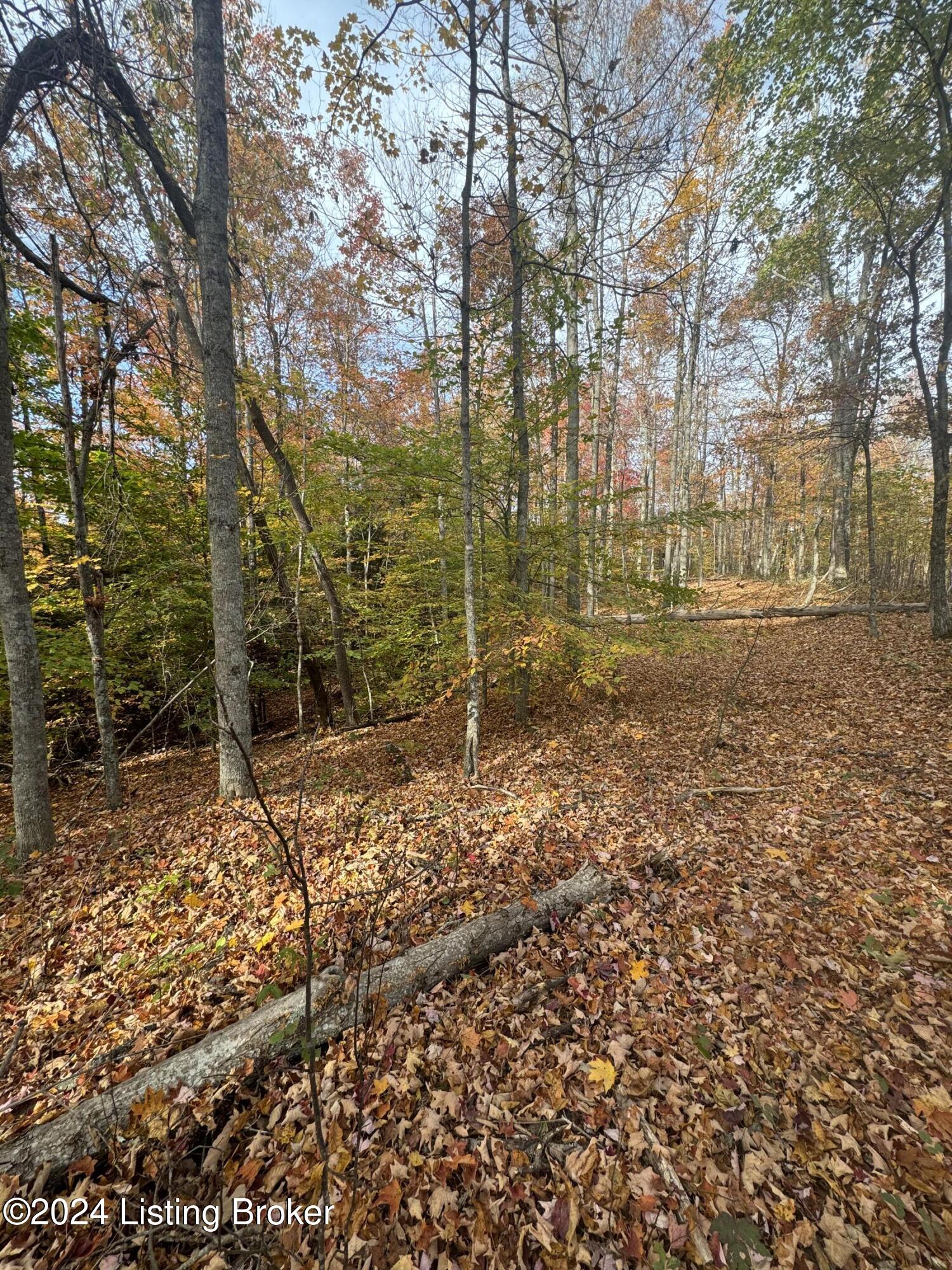 Ditney Ridge Rd, Morehead, Kentucky image 37