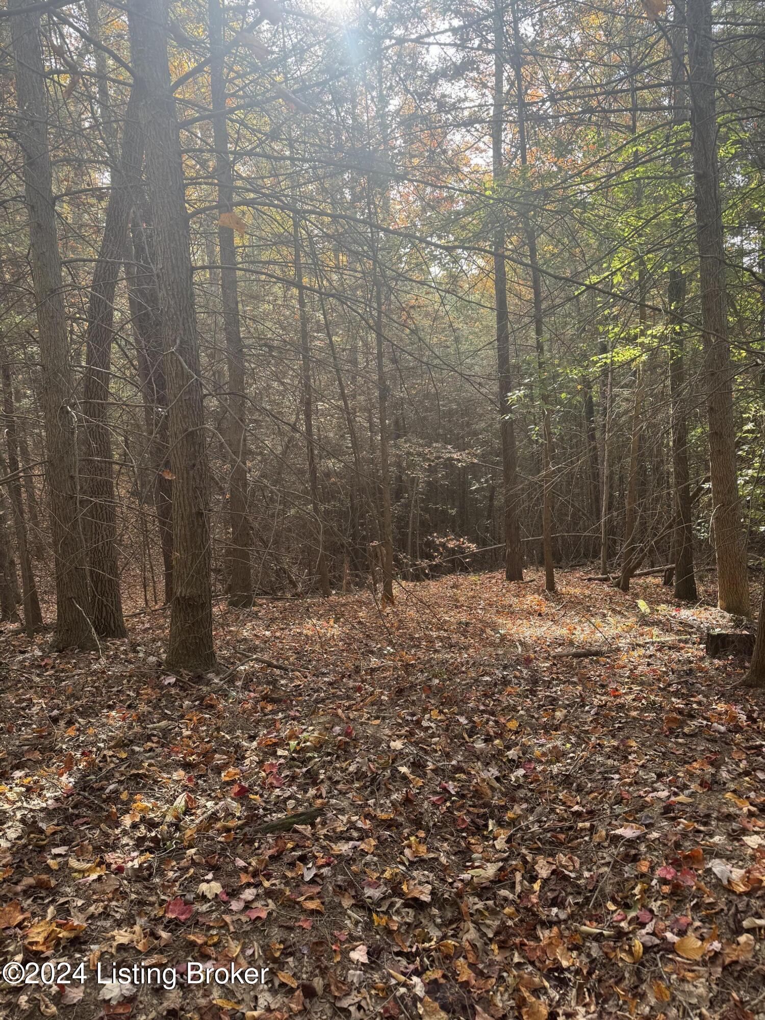 Ditney Ridge Rd, Morehead, Kentucky image 7