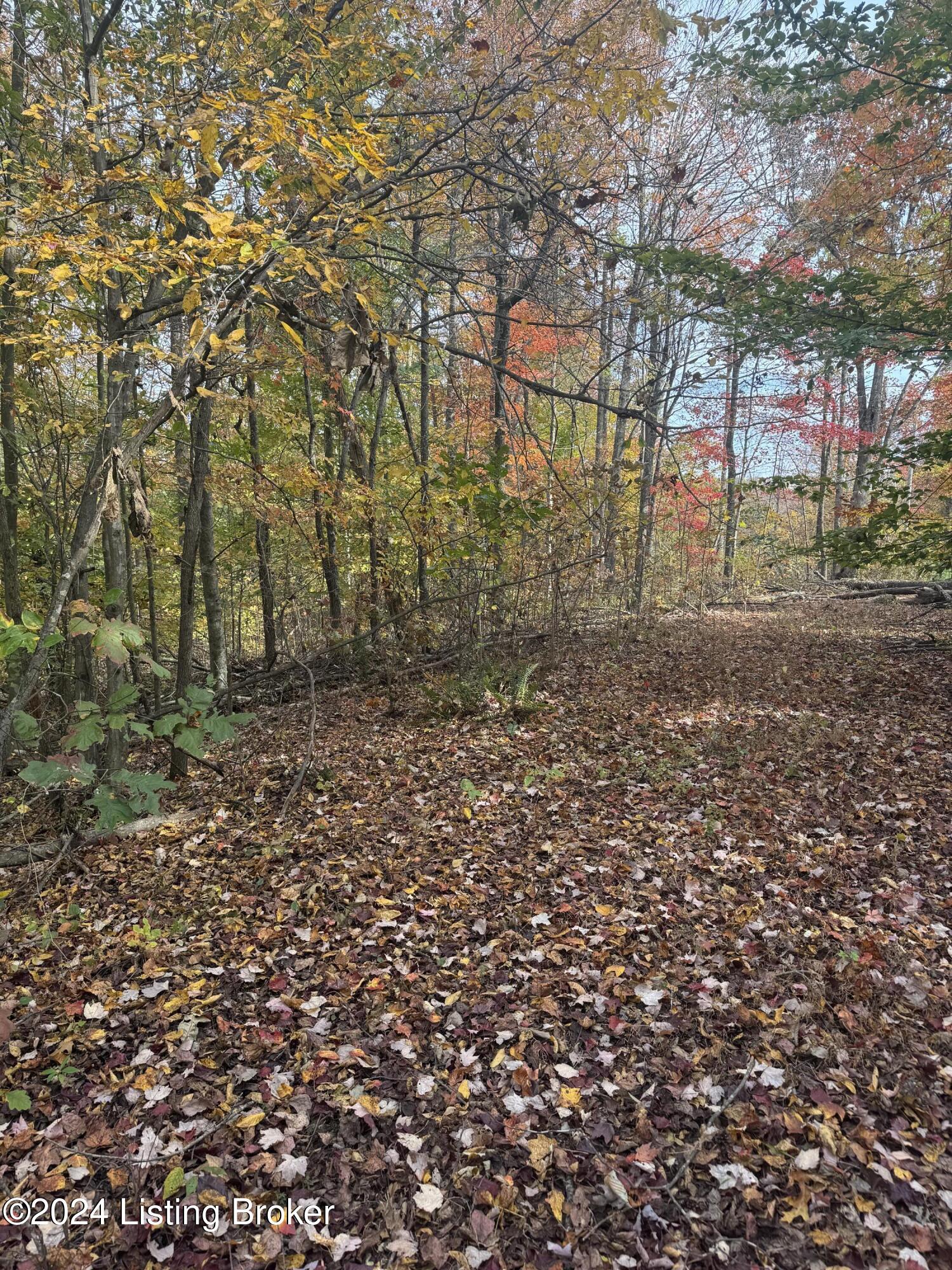 Ditney Ridge Rd, Morehead, Kentucky image 21