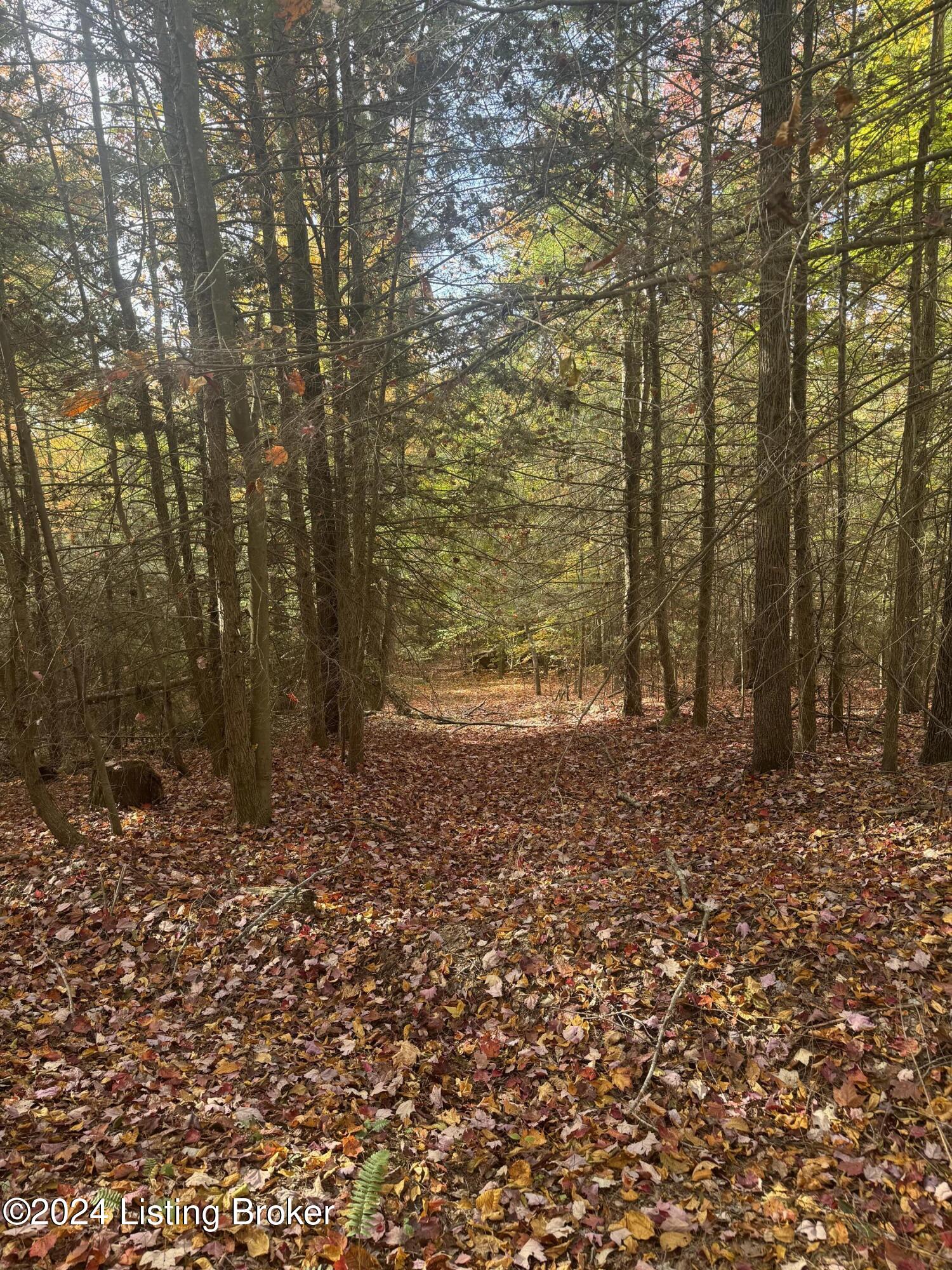 Ditney Ridge Rd, Morehead, Kentucky image 32