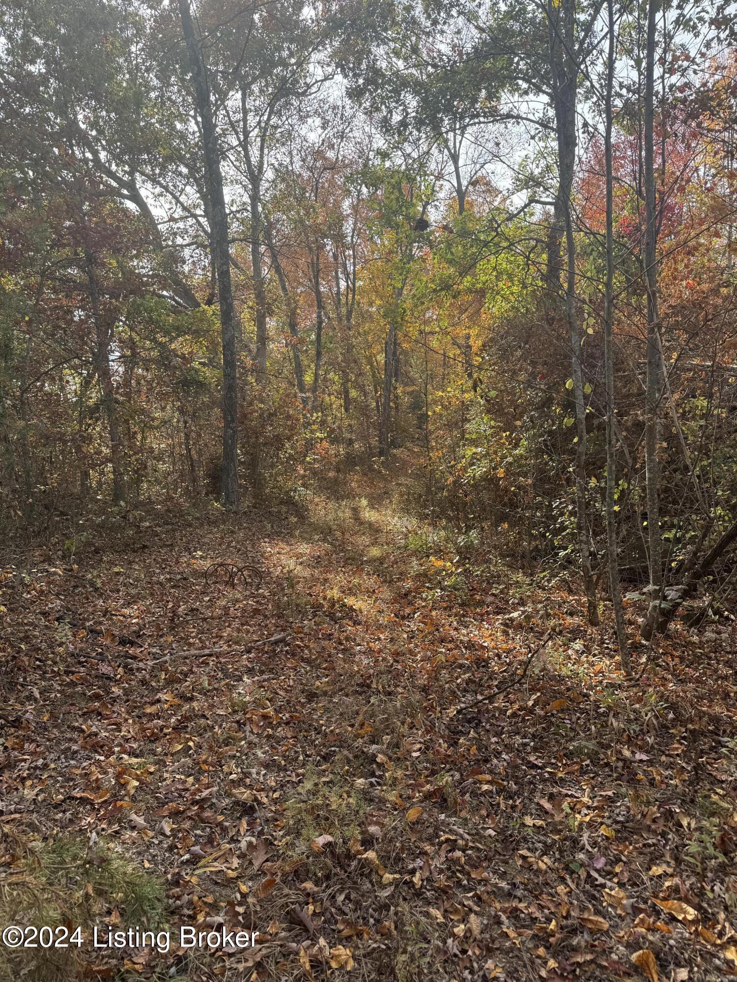 Ditney Ridge Rd, Morehead, Kentucky image 25