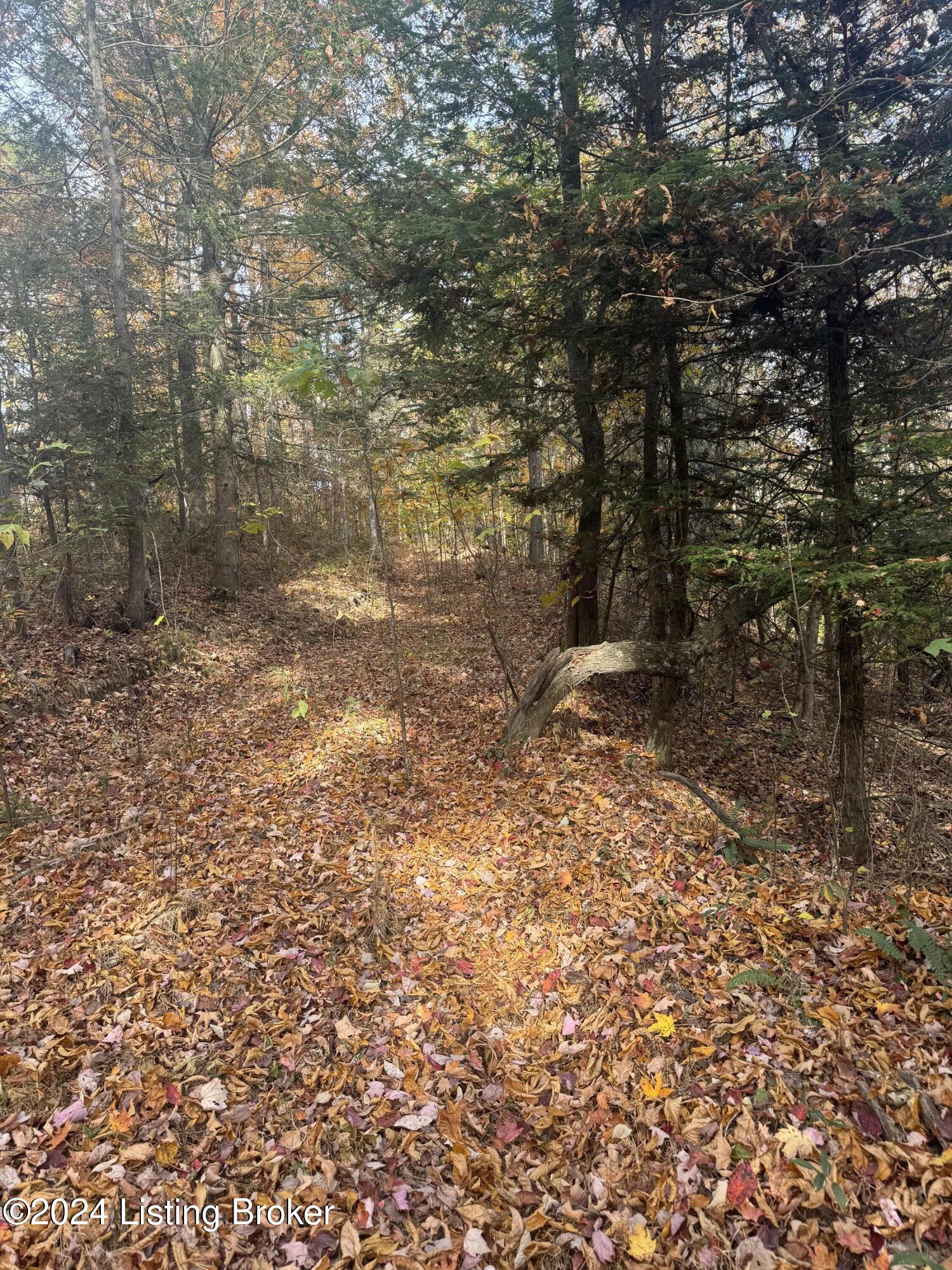 Ditney Ridge Rd, Morehead, Kentucky image 22