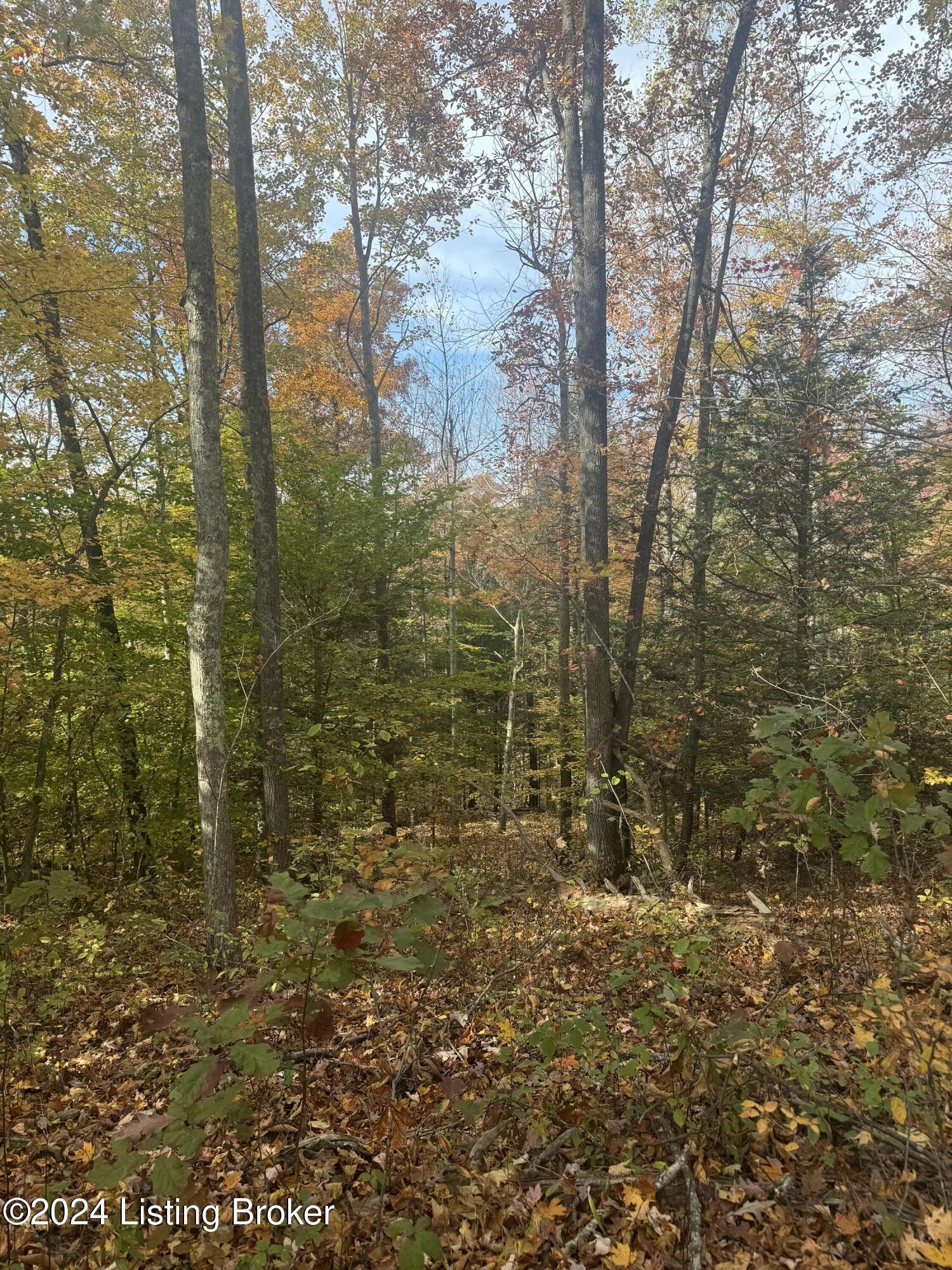 Ditney Ridge Rd, Morehead, Kentucky image 14