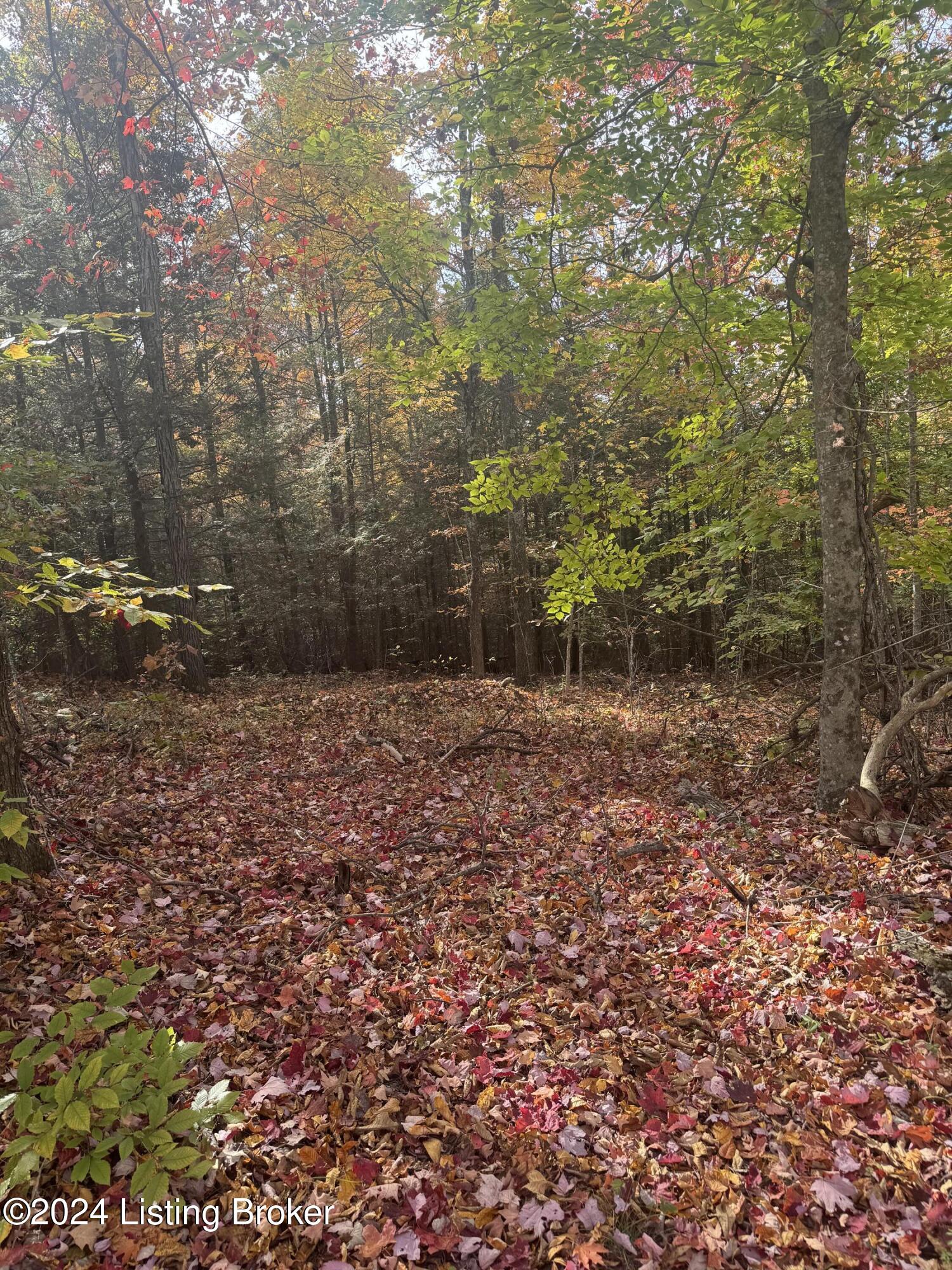 Ditney Ridge Rd, Morehead, Kentucky image 31