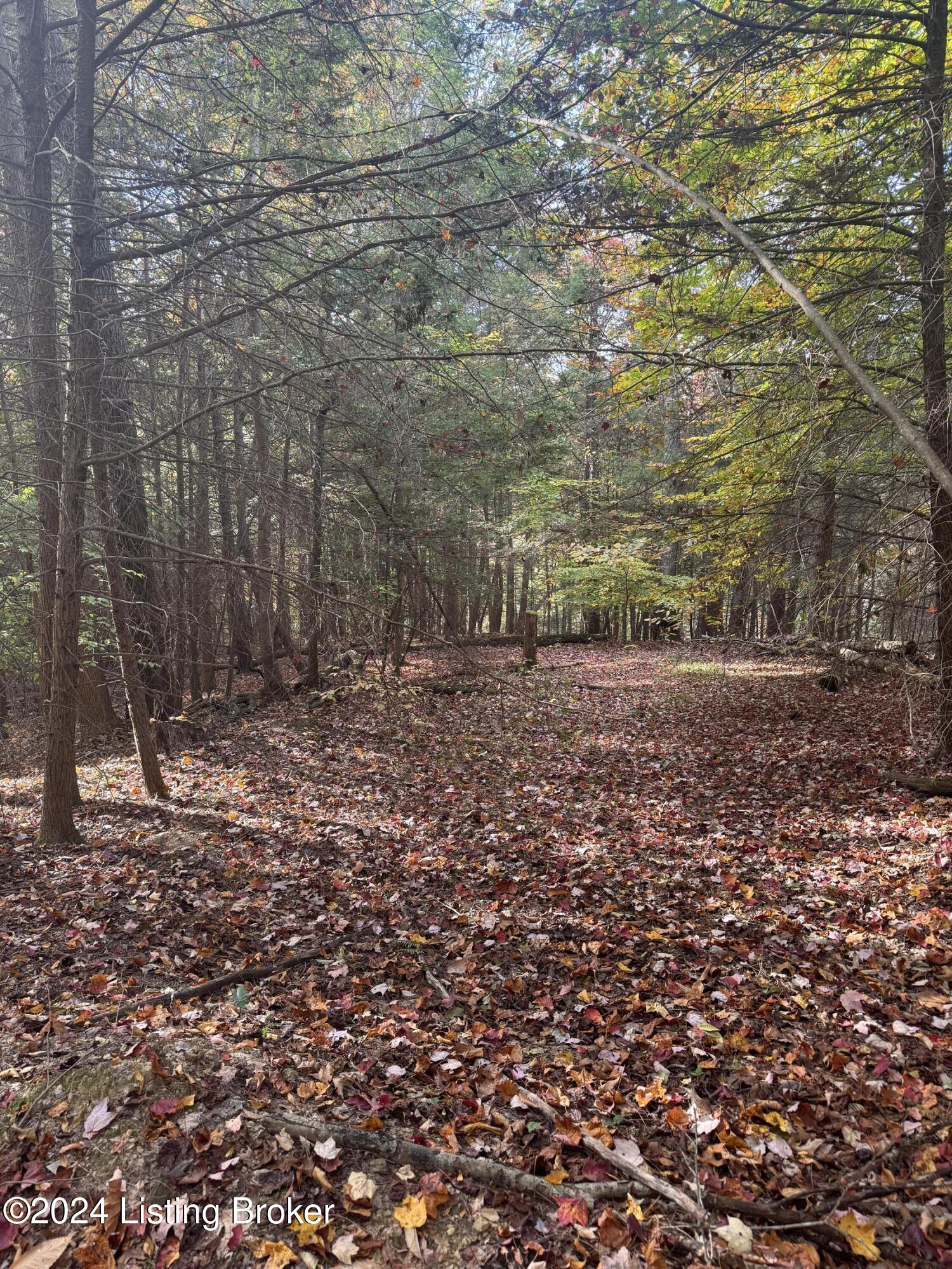 Ditney Ridge Rd, Morehead, Kentucky image 8