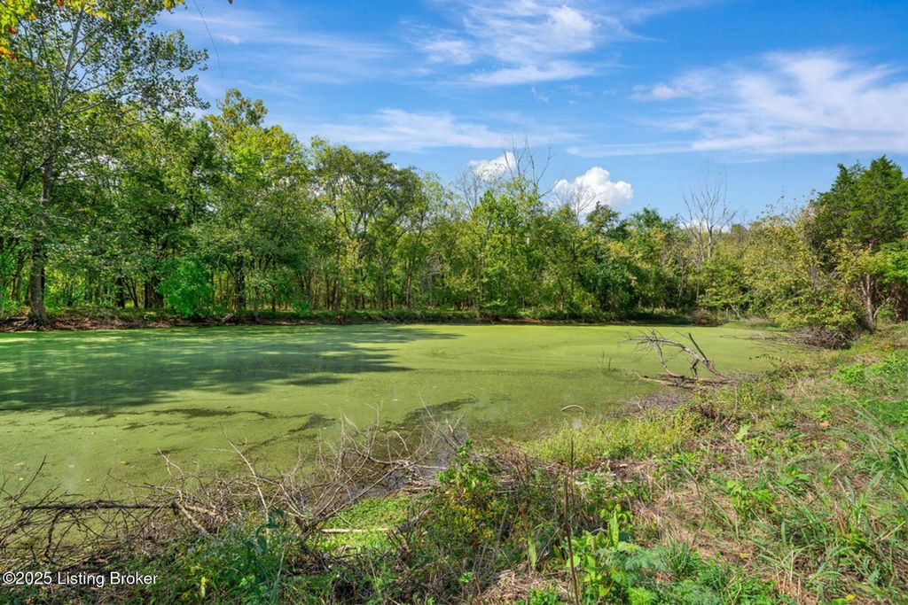 Photo of 3460 N Highway 53, La Grange, KY 40031 (MLS # 1700741)