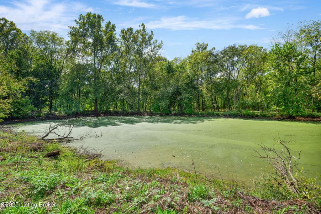Photo of 3460 N Highway 53, La Grange, KY 40031 (MLS # 1700741)