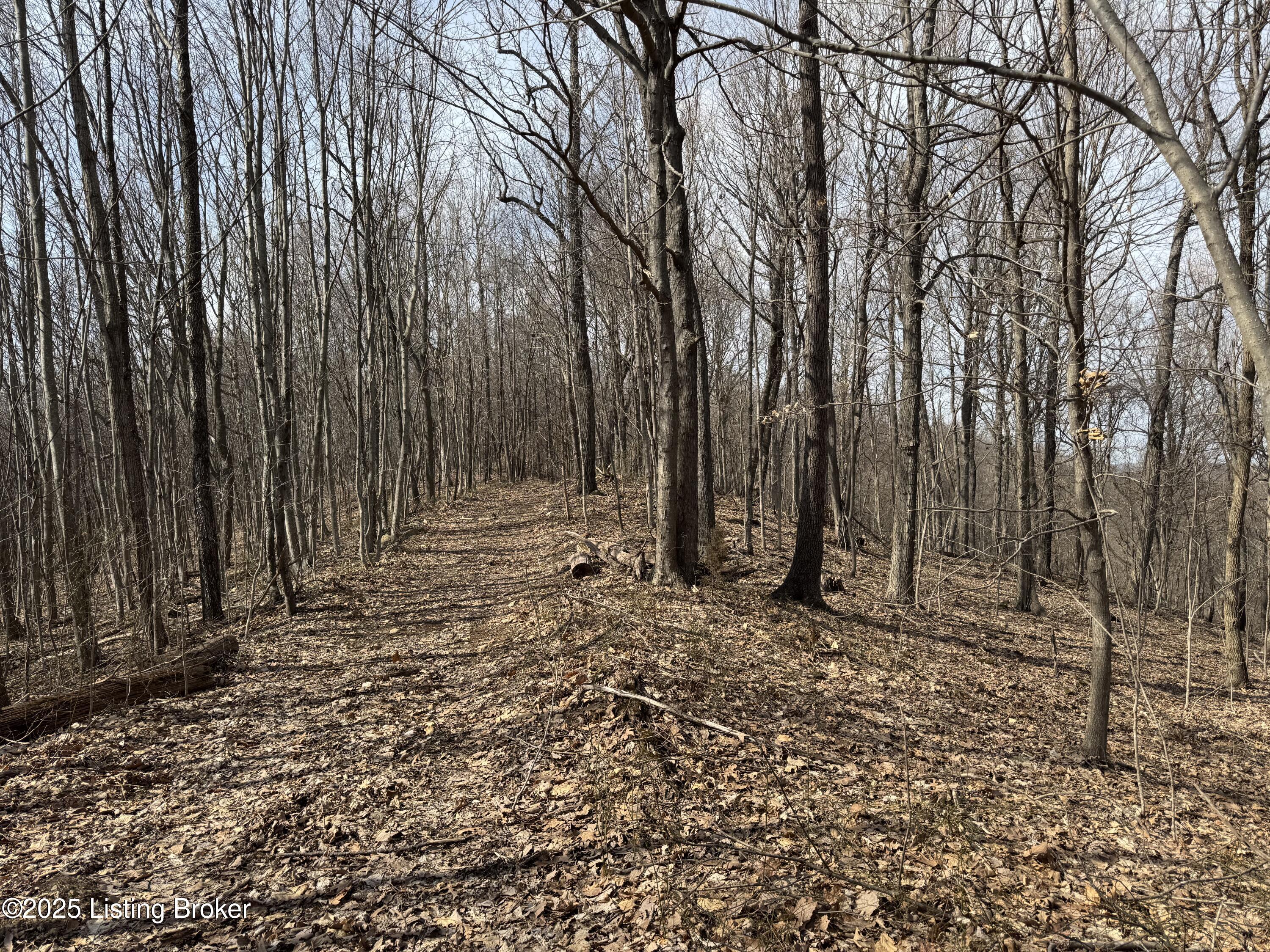 Hardwood Rd, Wallingford, Kentucky image 33