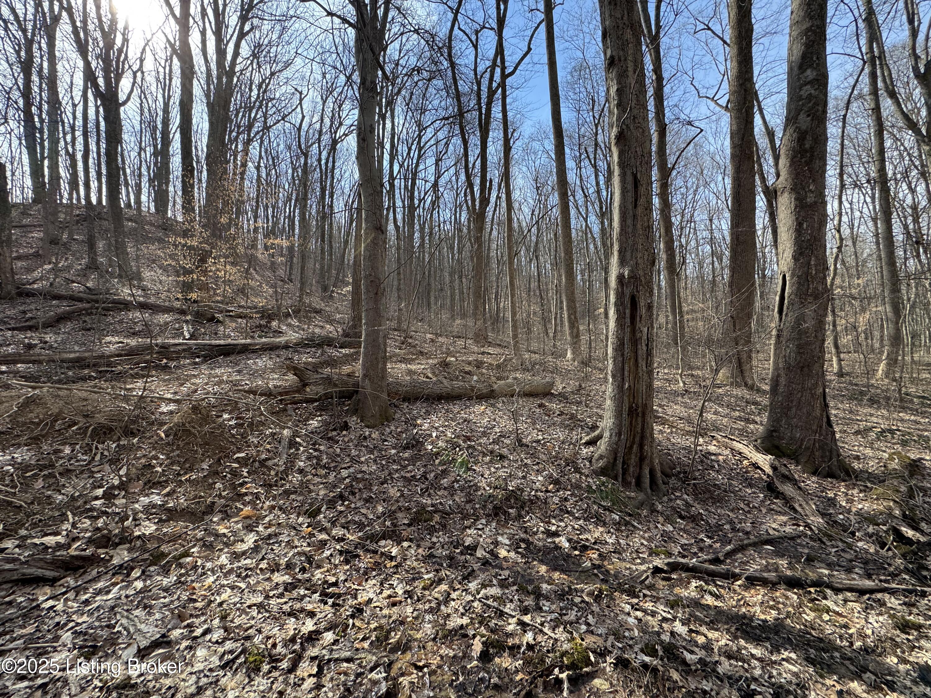 Hardwood Rd, Wallingford, Kentucky image 42