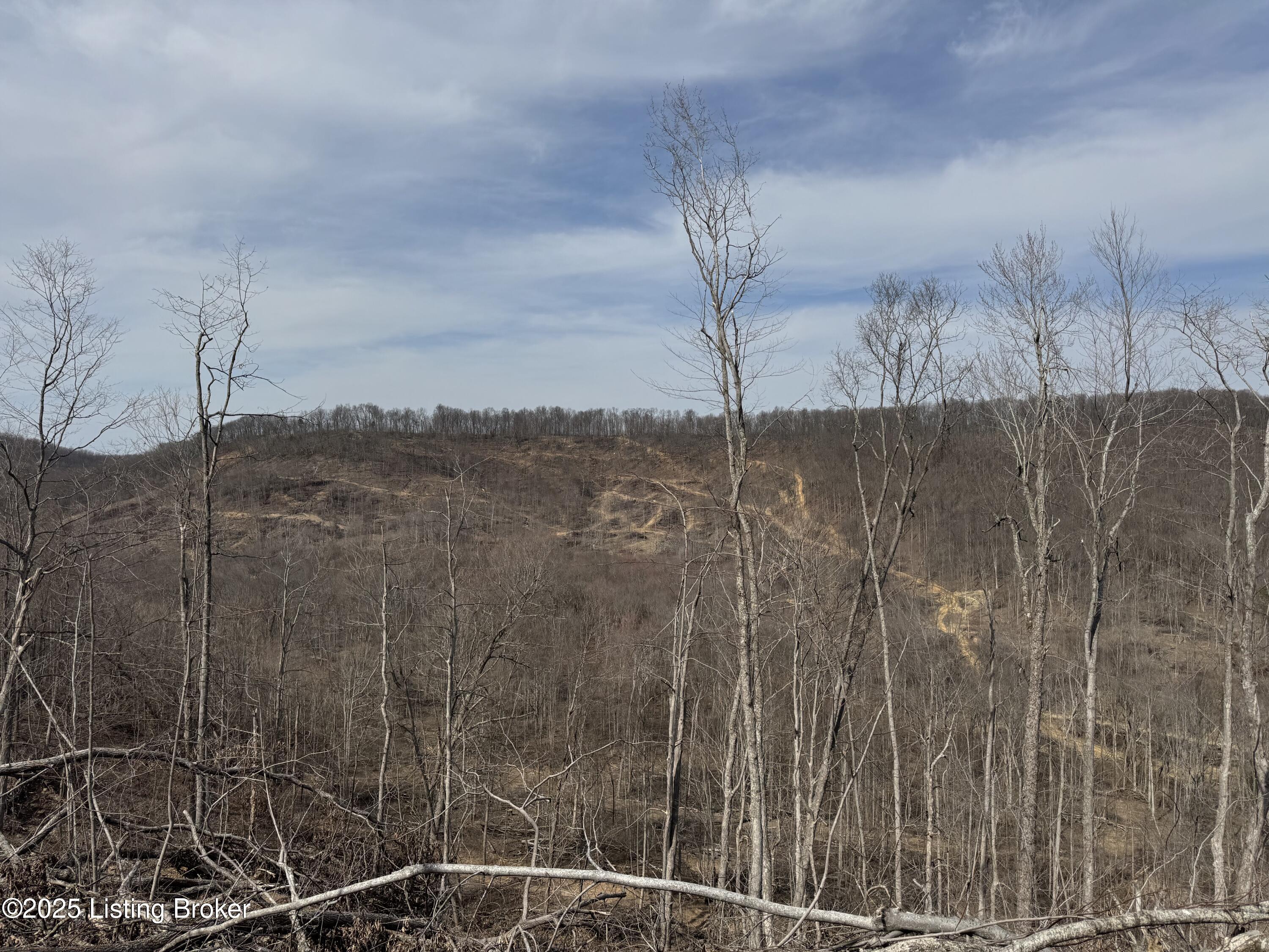 Hardwood Rd, Wallingford, Kentucky image 26