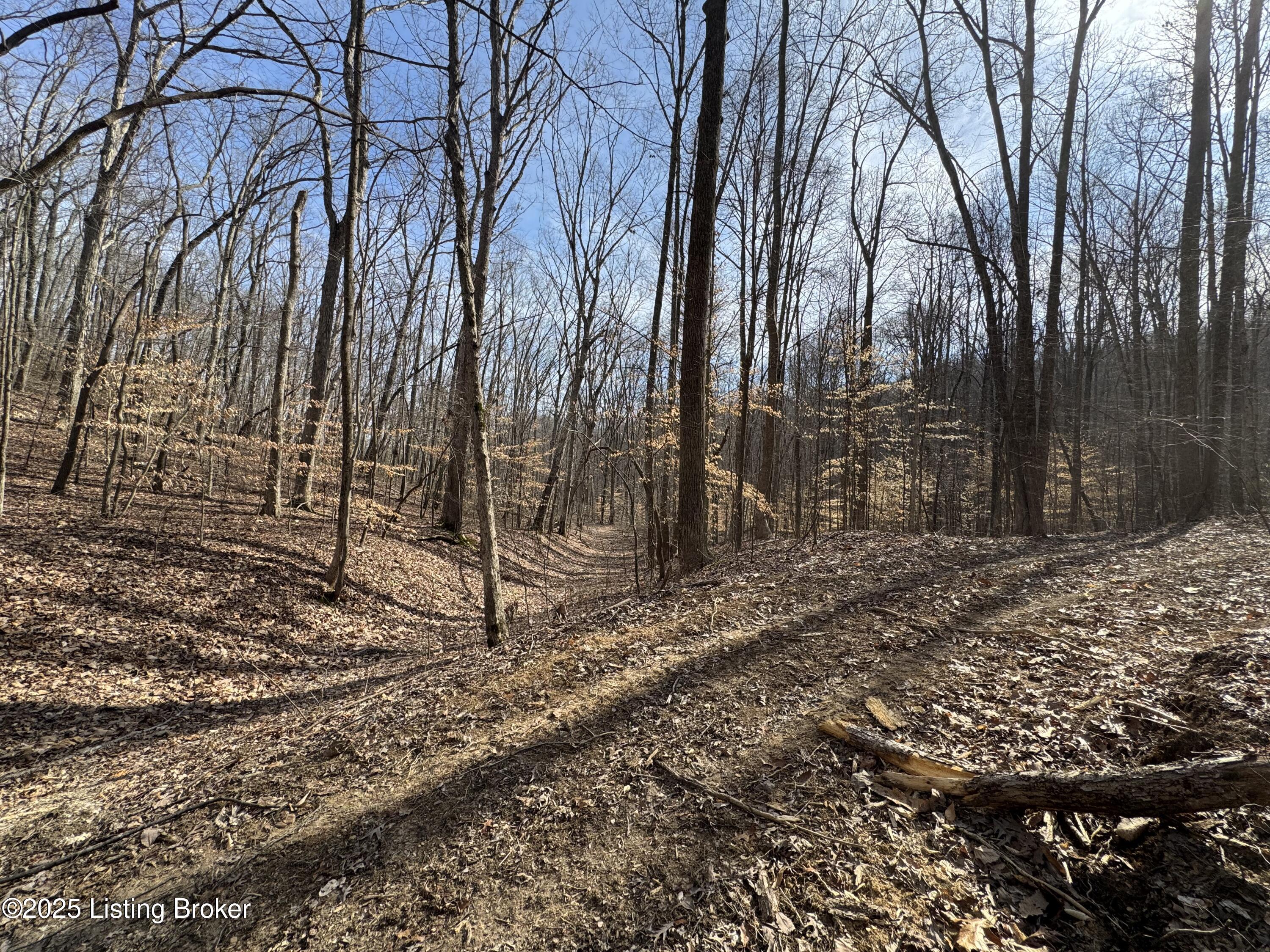 Hardwood Rd, Wallingford, Kentucky image 37