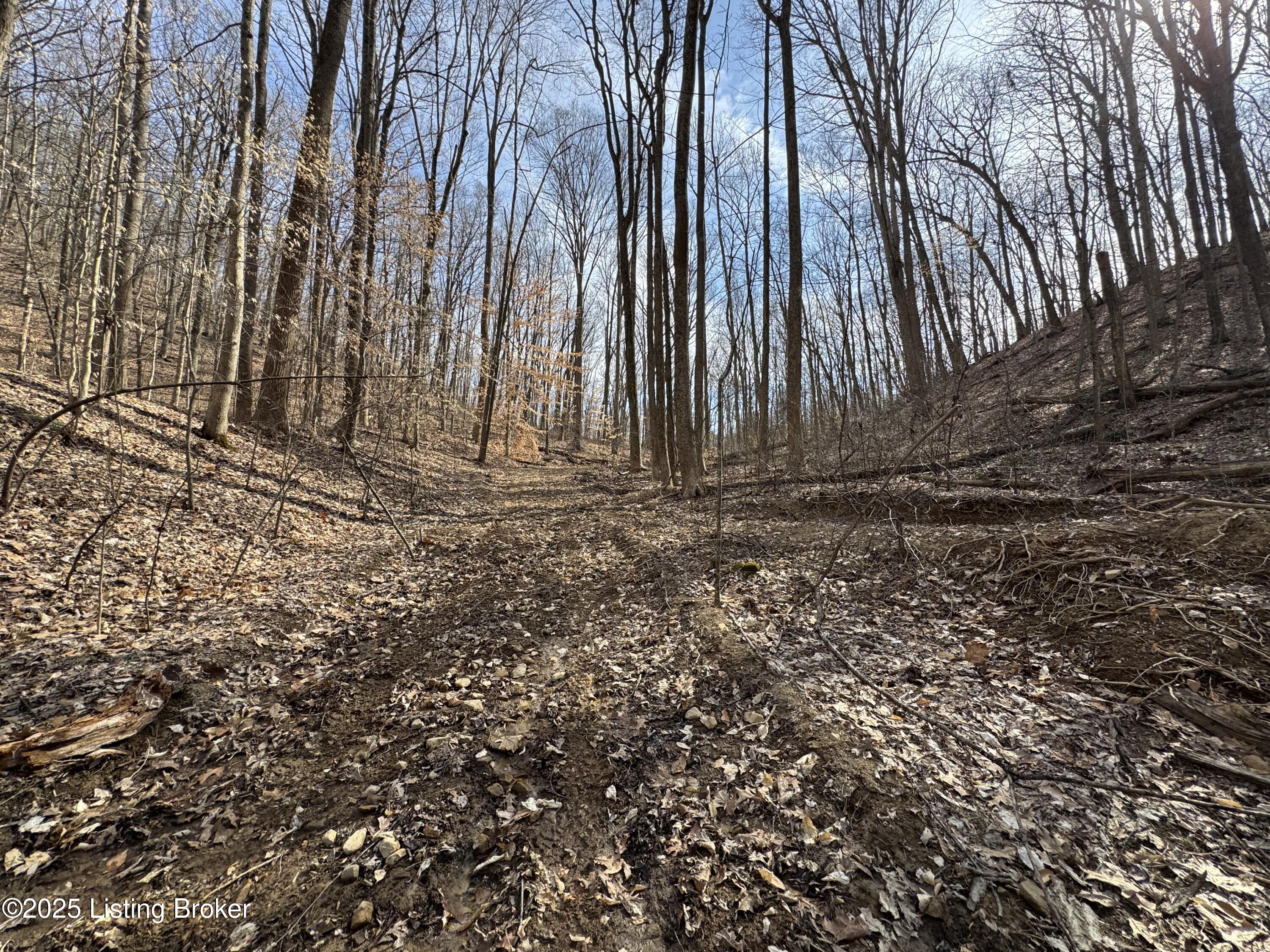 Hardwood Rd, Wallingford, Kentucky image 43