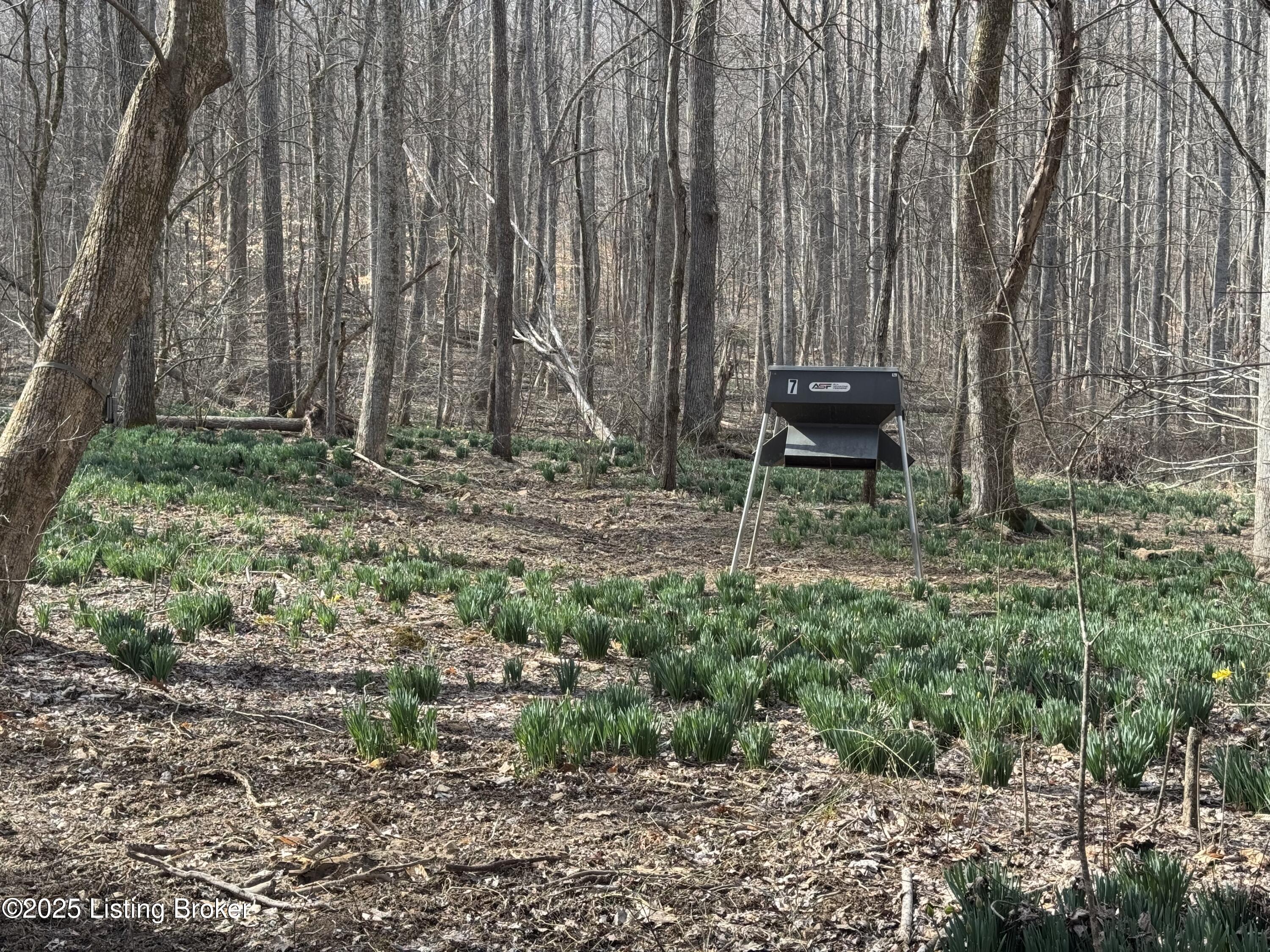 Hardwood Rd, Wallingford, Kentucky image 41