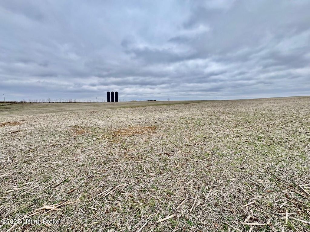 Photo of 290 Mattingly Ln, Springfield, KY 40069 (MLS # 1705182)