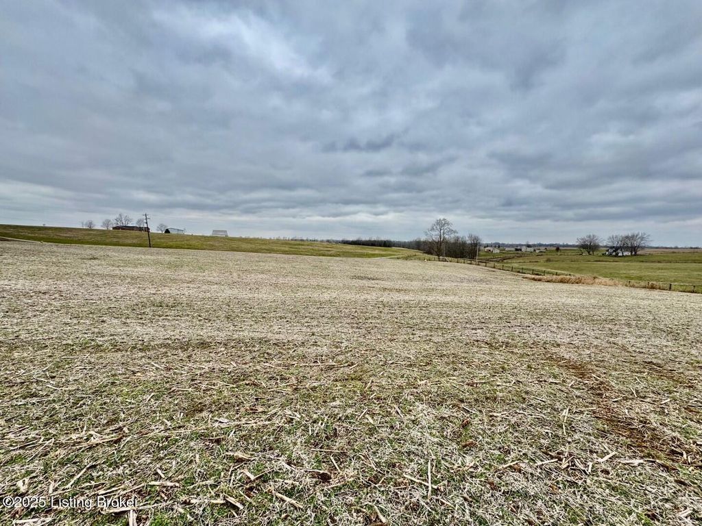 Photo of 290 Mattingly Ln, Springfield, KY 40069 (MLS # 1705182)