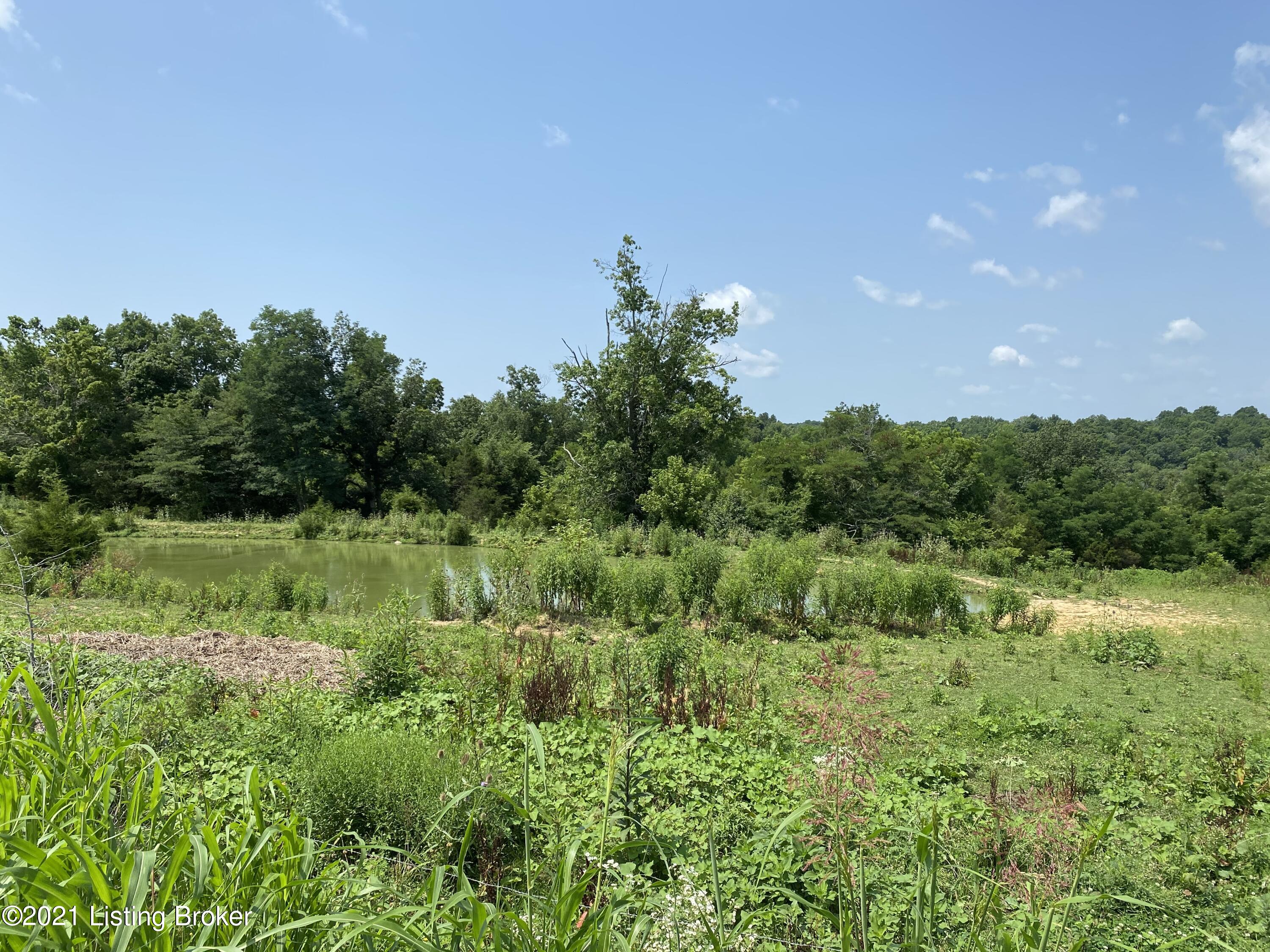 Photo 1 of 1 — 1231 Sweeney Ridge Rd, Chaplin, KY 40012