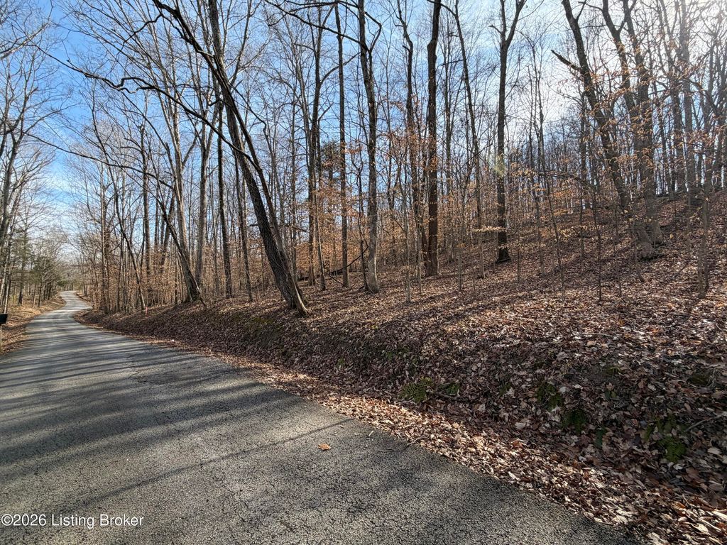Photo of 0-2 Noah Stevenson Rd, Bee Springs, KY 42207 (MLS # 1709471)