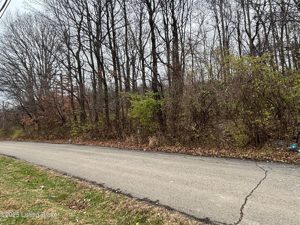 Photo of 7636 Saint Andrews Church Rd, Louisville, KY 40214 (MLS # 1705219)