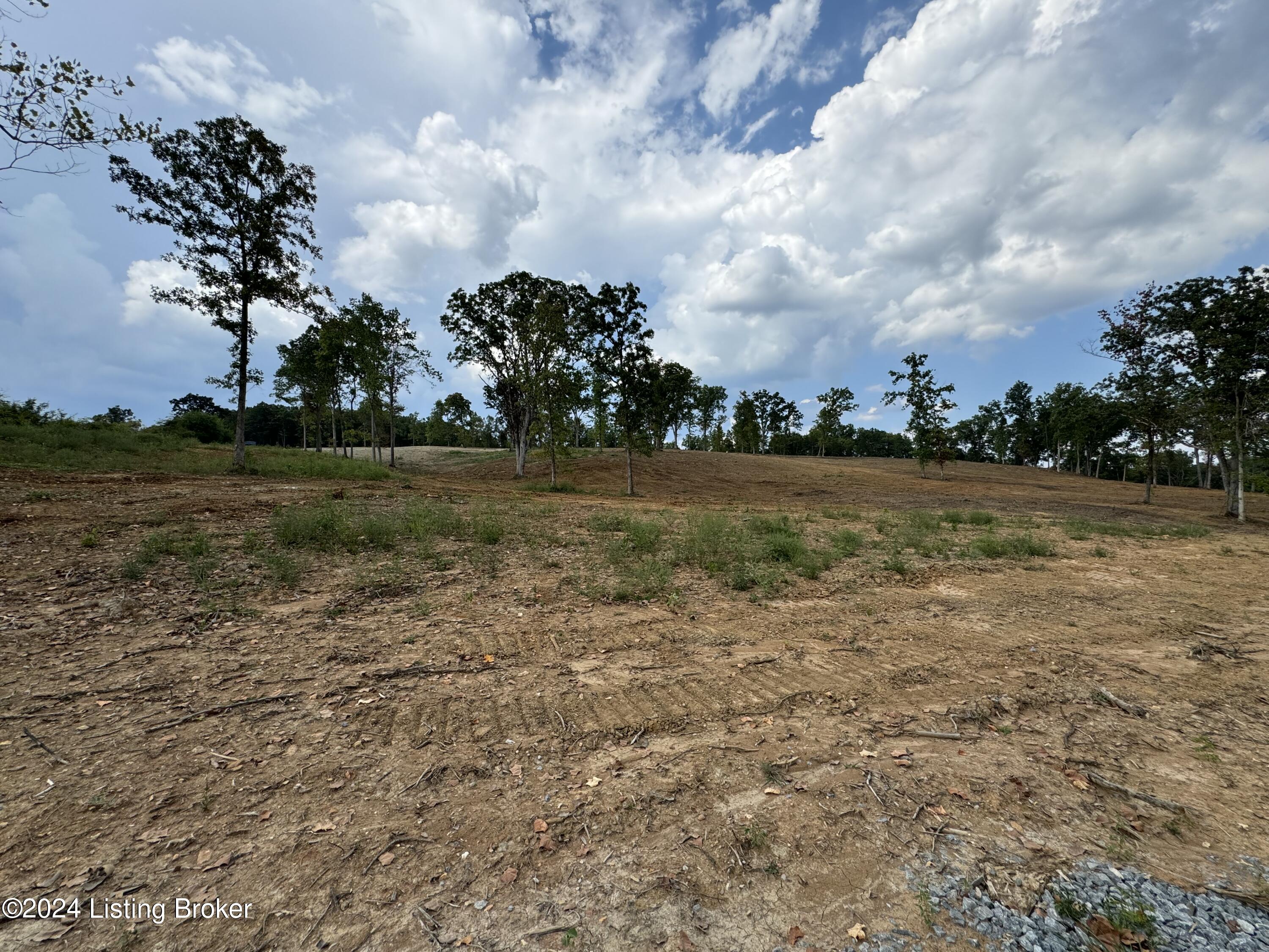 2493 Colfax Rd, Hillsboro, Kentucky image 9