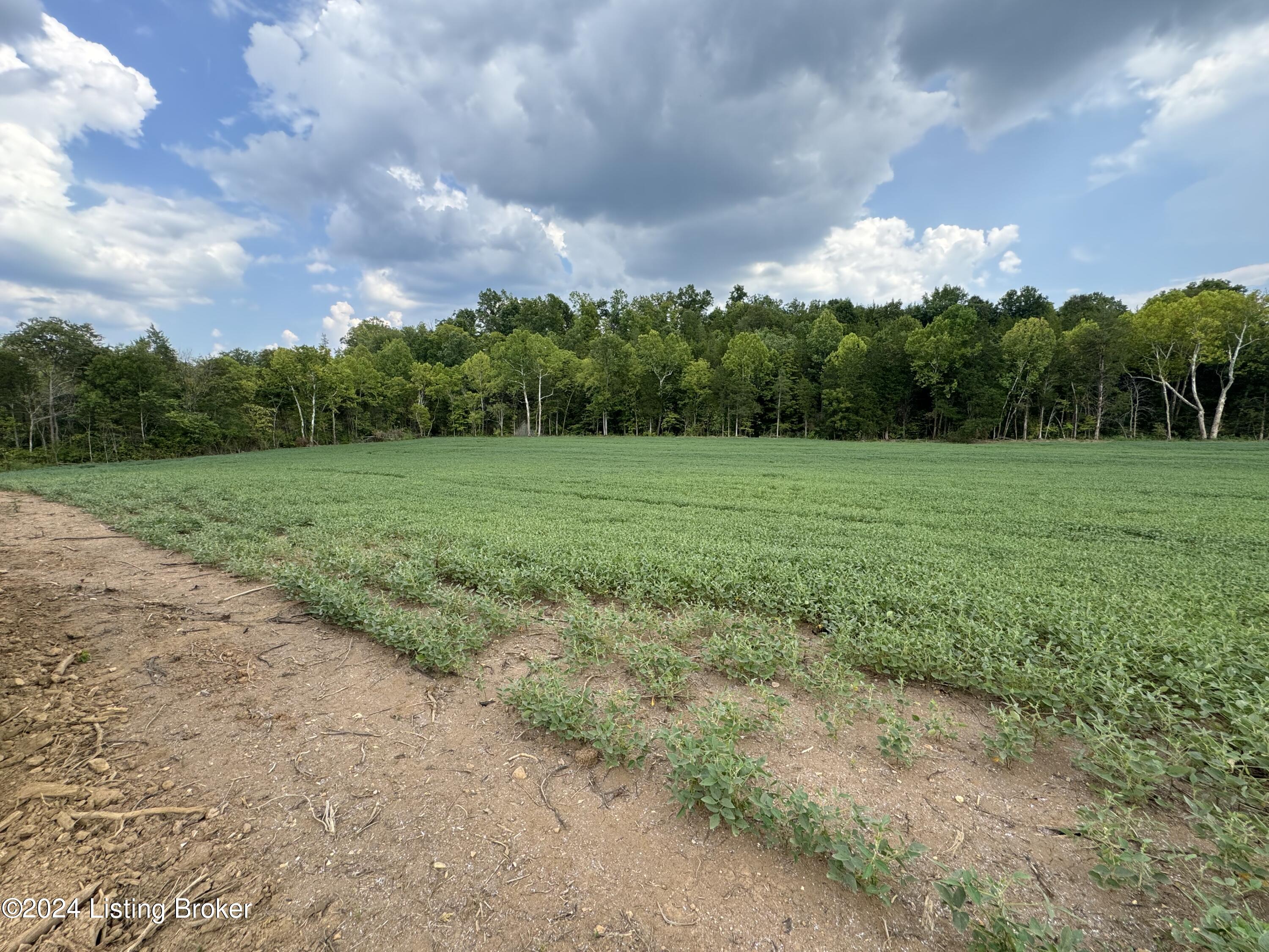 2493 Colfax Rd, Hillsboro, Kentucky image 6