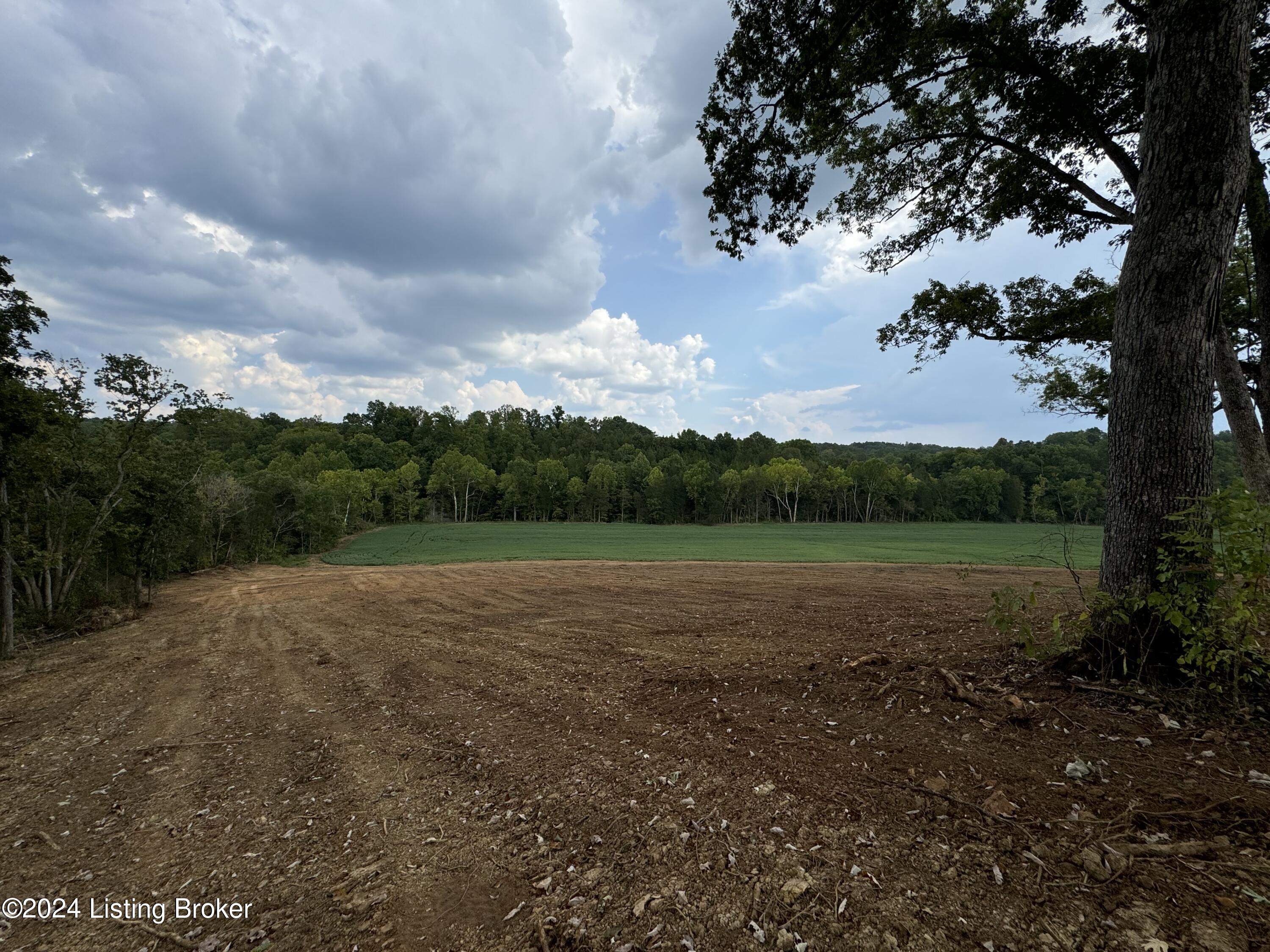 2493 Colfax Rd, Hillsboro, Kentucky image 3