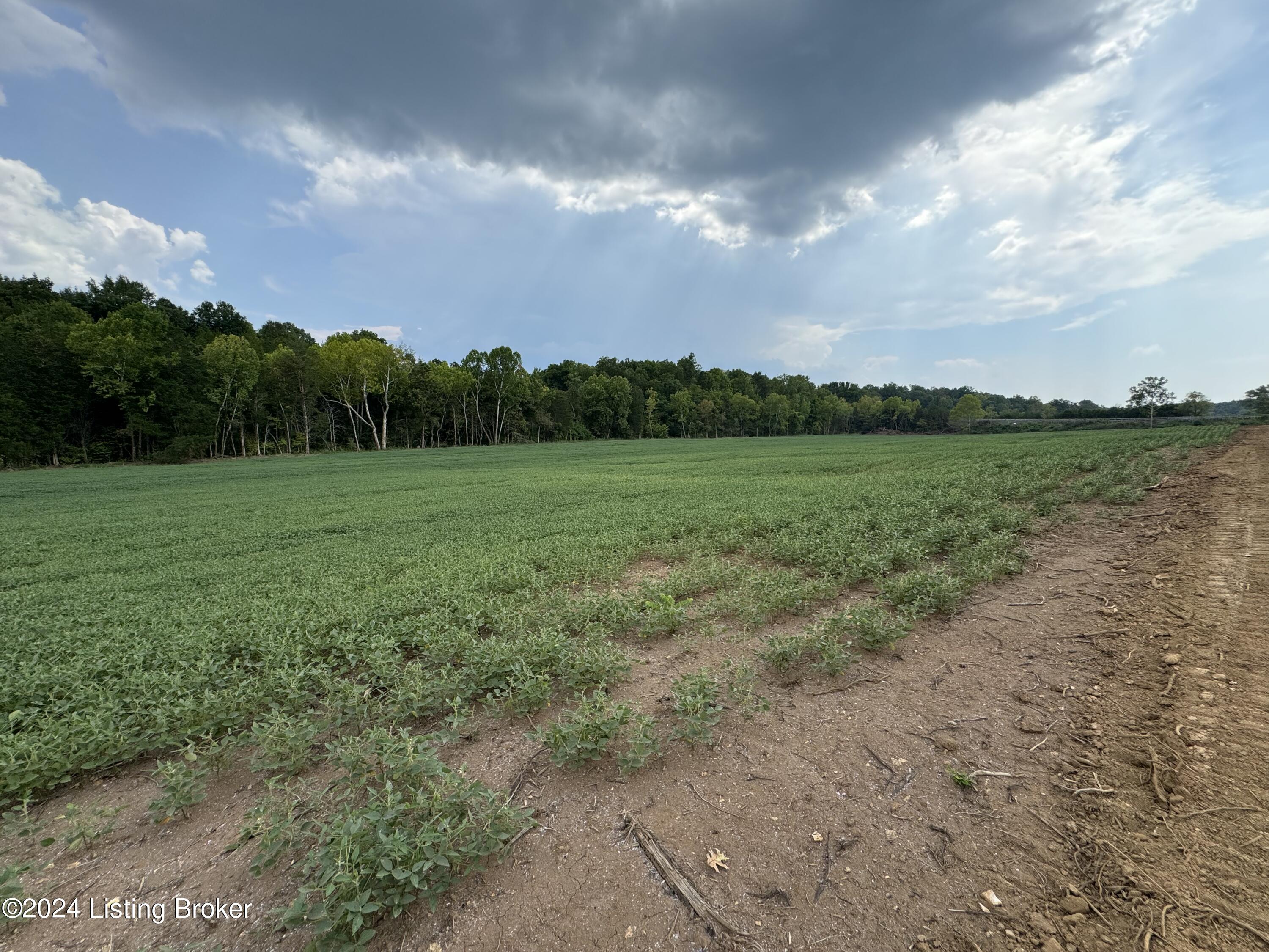 2493 Colfax Rd, Hillsboro, Kentucky image 5