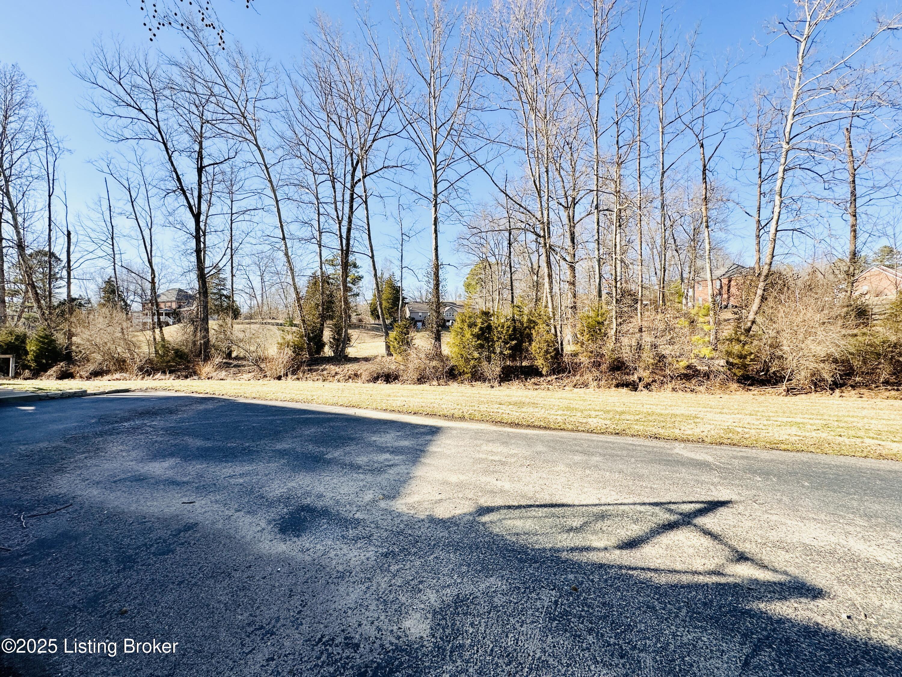 31 Cottonwood Dr, Leitchfield, Kentucky image 36