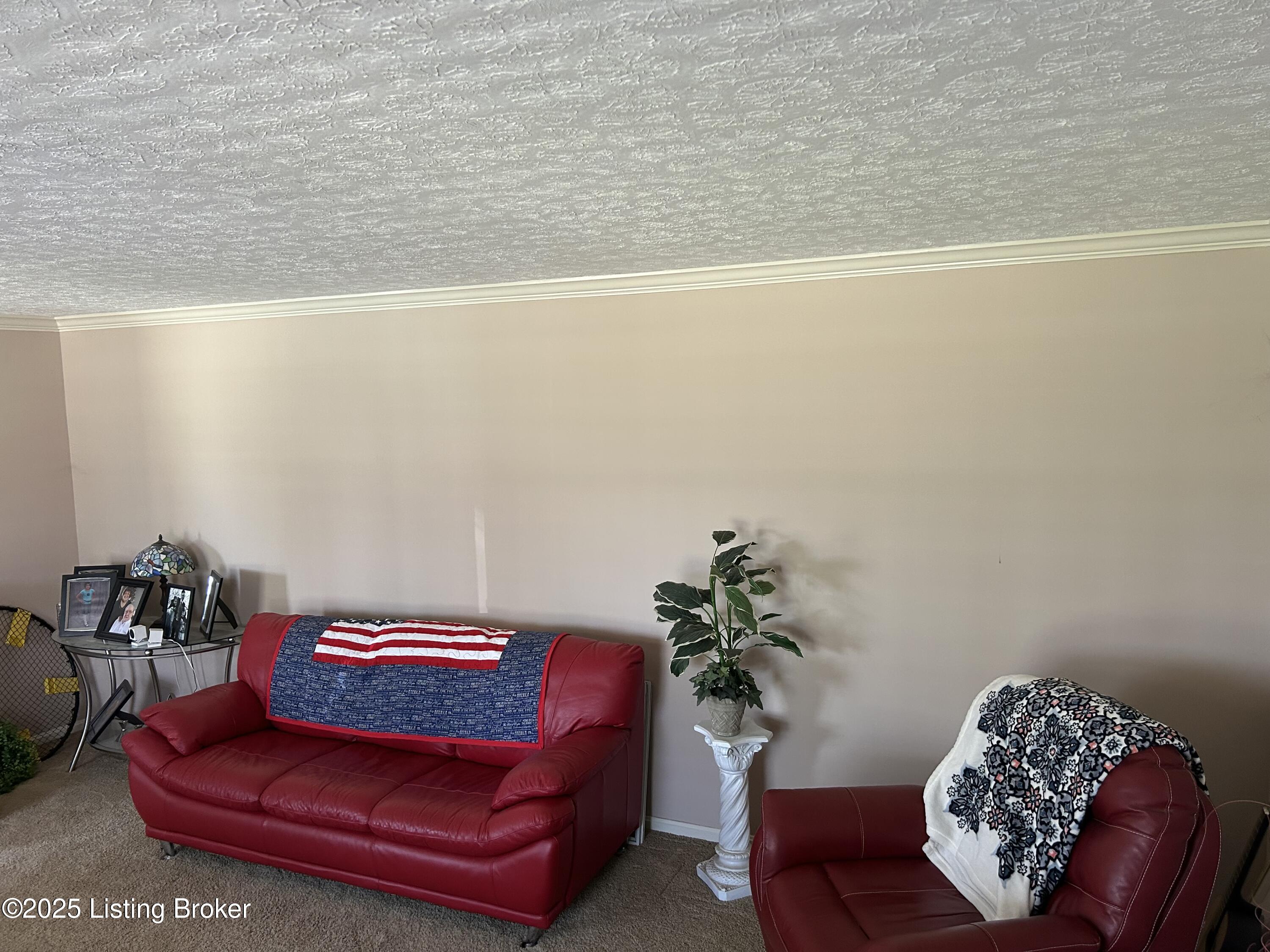 9102 Lakeridge Drive Dr, Louisville, Kentucky image 39