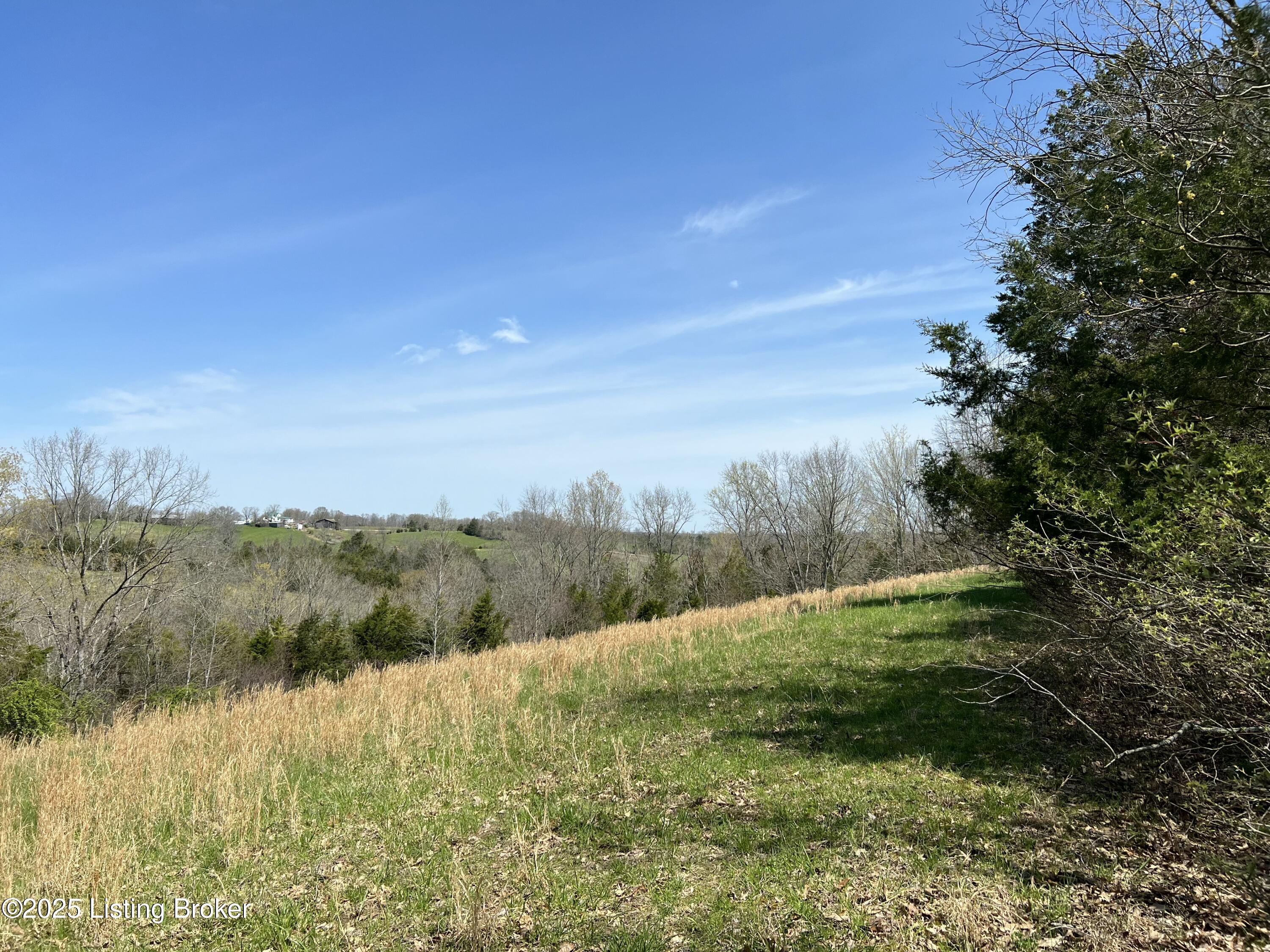 422 Tatum Springs Rd, Willisburg, Kentucky image 12