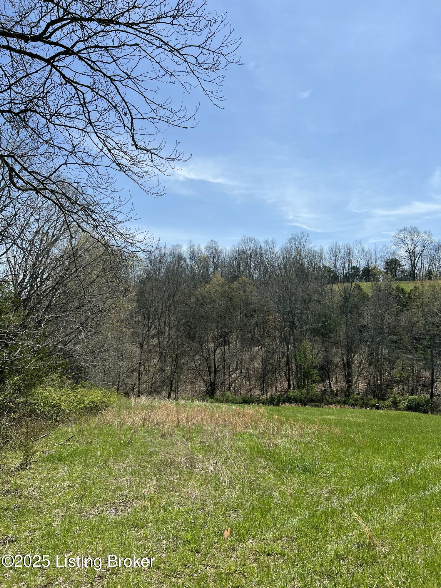 422 Tatum Springs Rd, Willisburg, Kentucky image 18