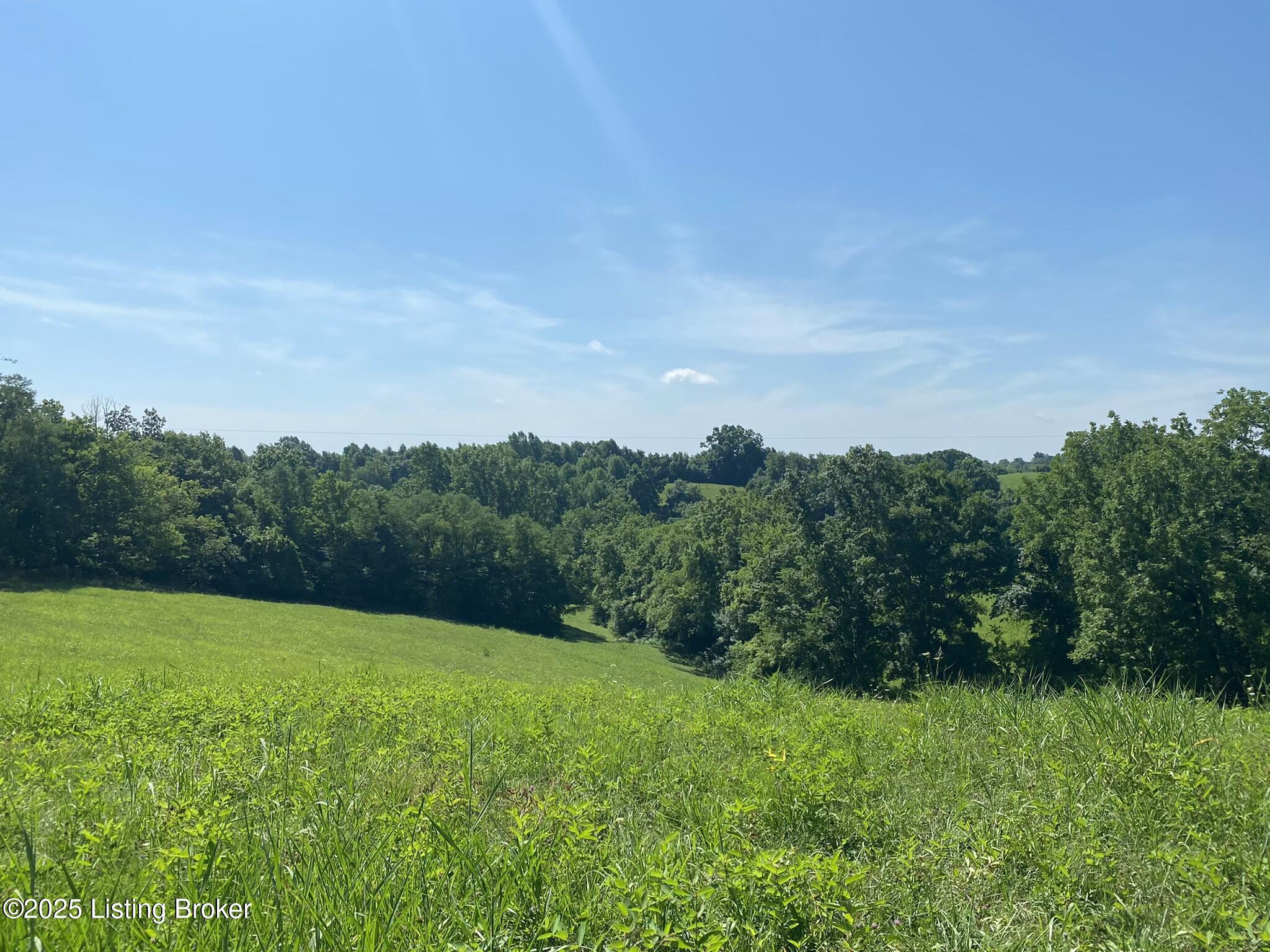 422 Tatum Springs Rd, Willisburg, Kentucky image 2