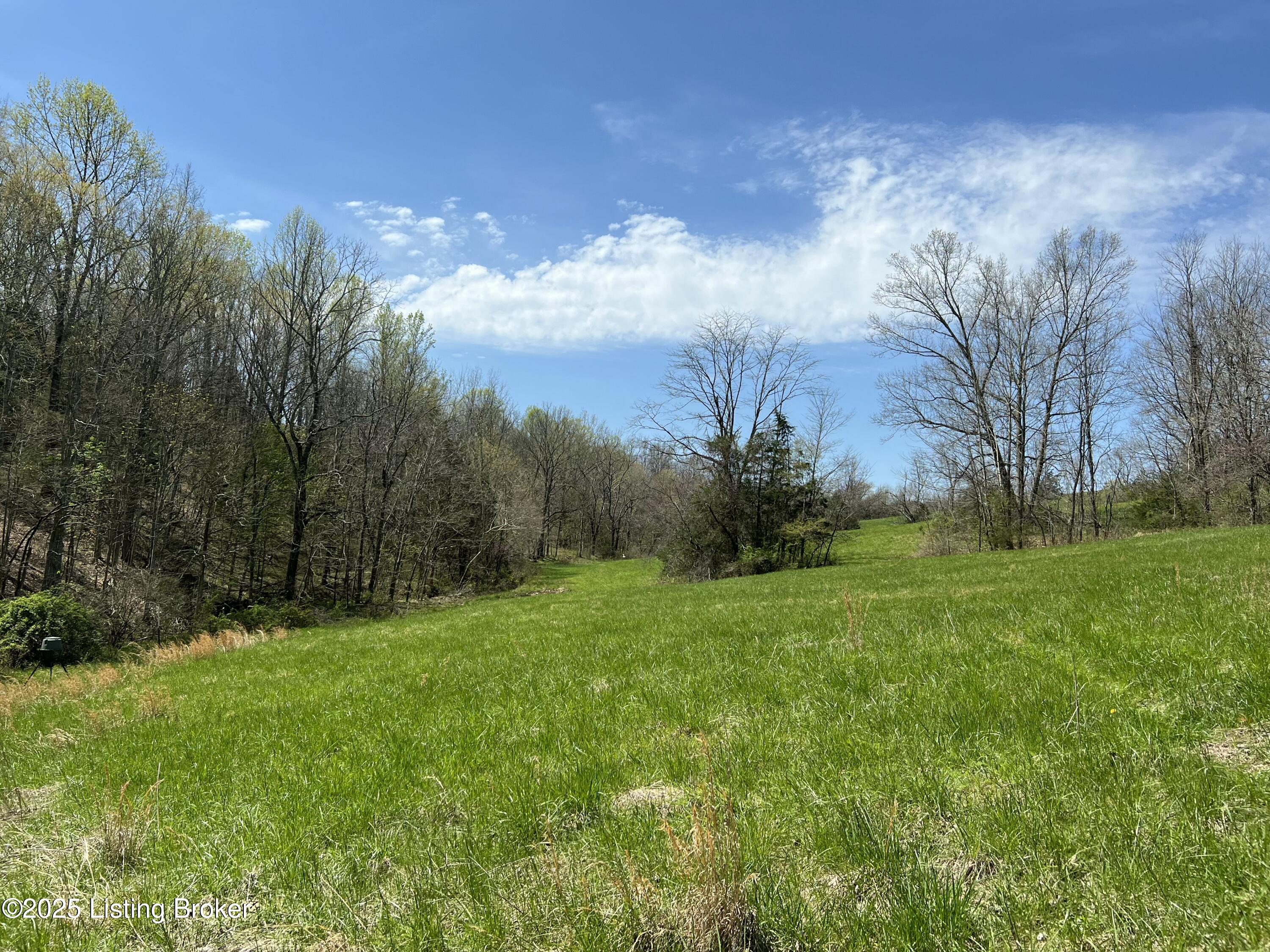 422 Tatum Springs Rd, Willisburg, Kentucky image 15