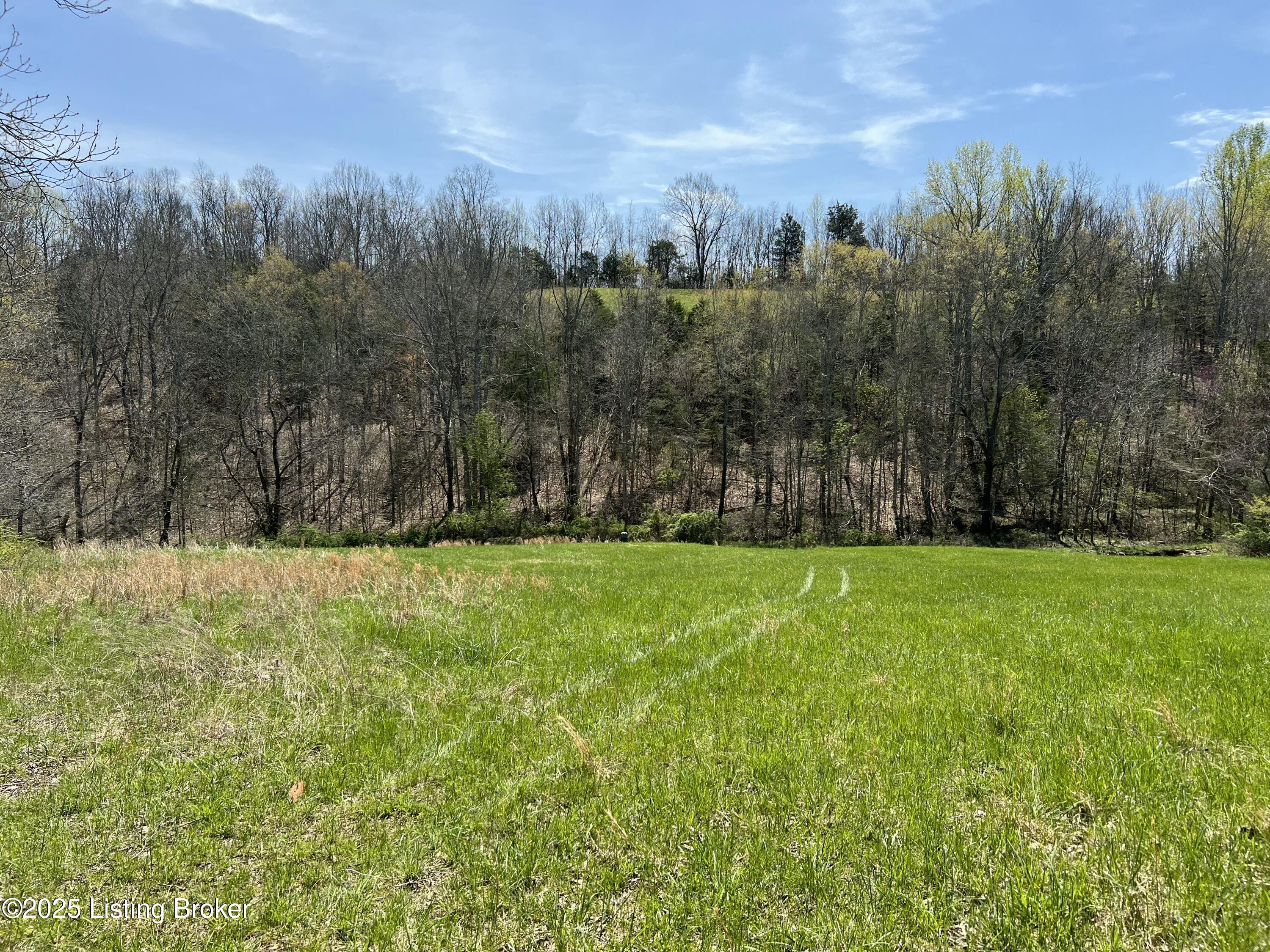 422 Tatum Springs Rd, Willisburg, Kentucky image 17