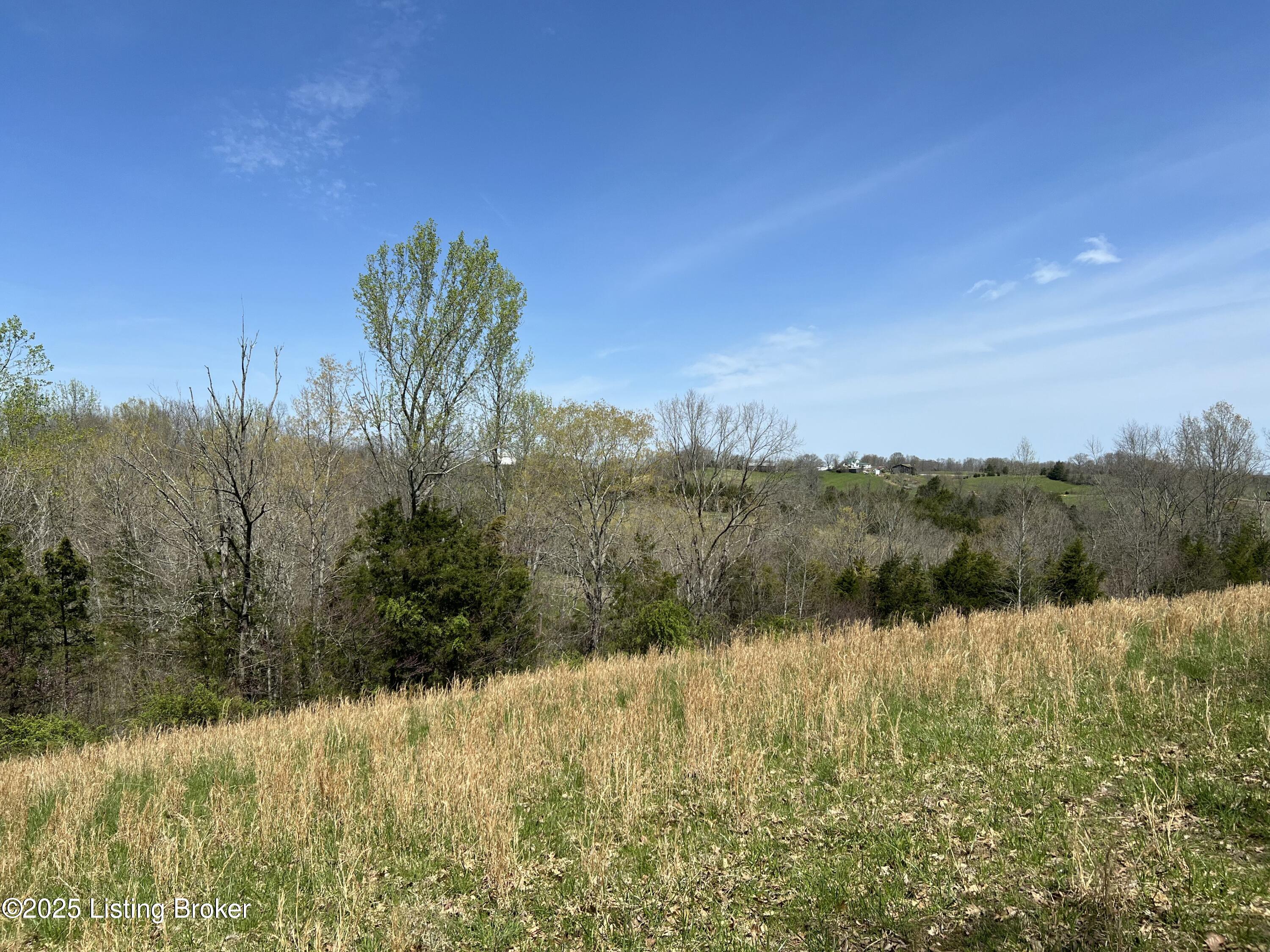 422 Tatum Springs Rd, Willisburg, Kentucky image 13