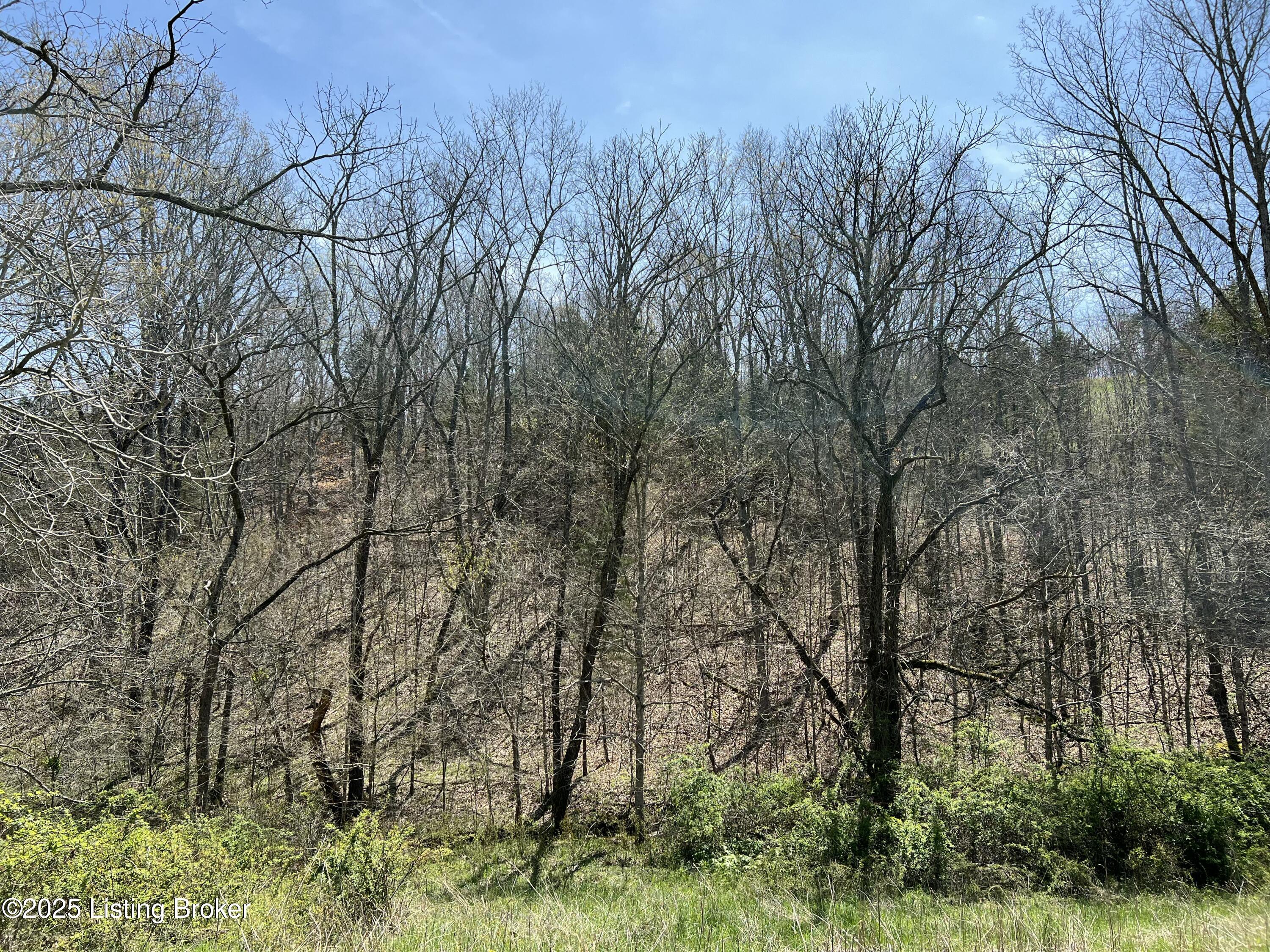 422 Tatum Springs Rd, Willisburg, Kentucky image 14