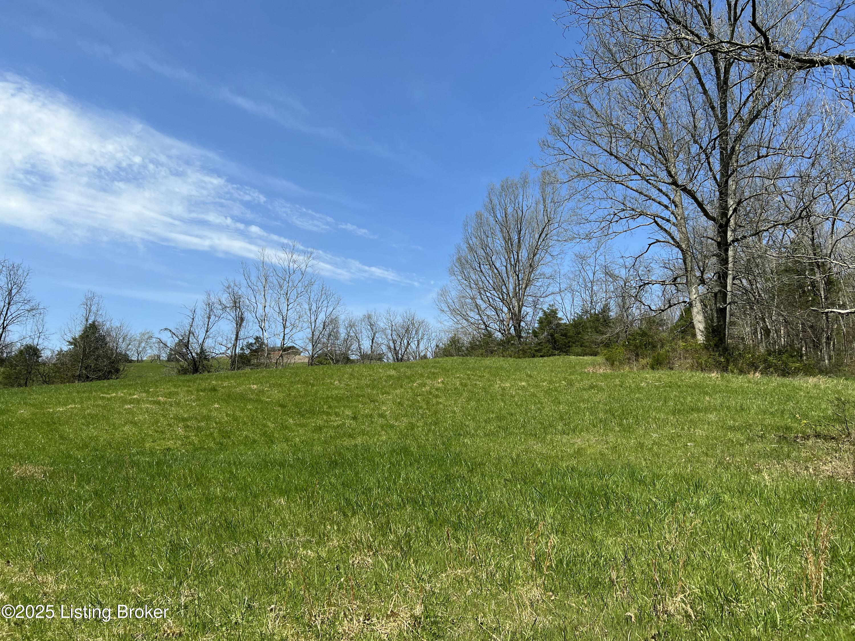 422 Tatum Springs Rd, Willisburg, Kentucky image 8