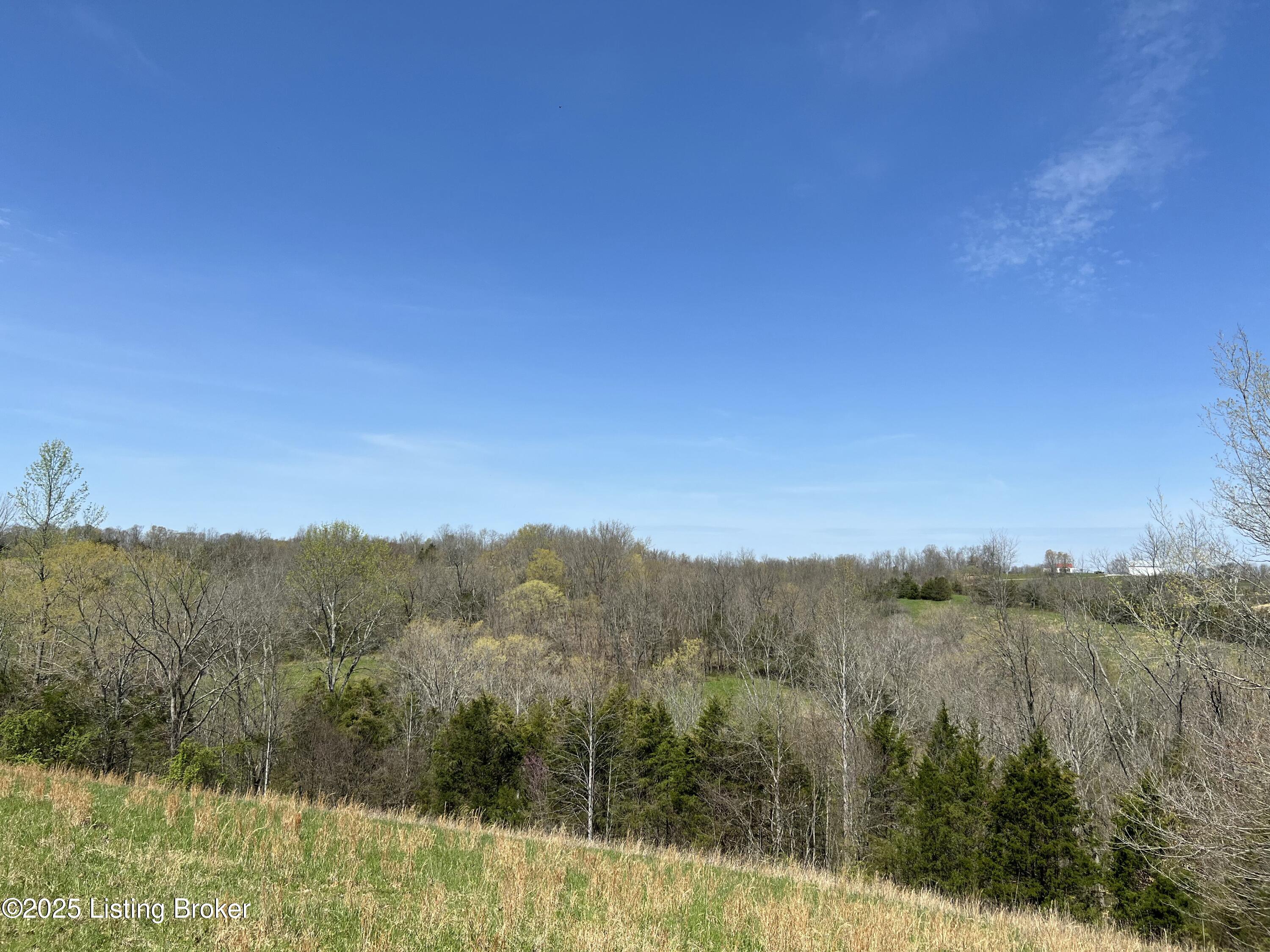 422 Tatum Springs Rd, Willisburg, Kentucky image 10