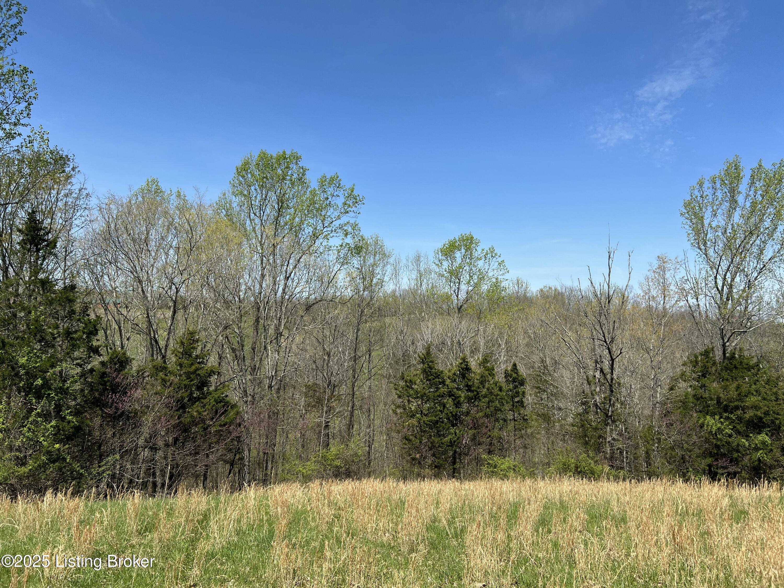 422 Tatum Springs Rd, Willisburg, Kentucky image 11