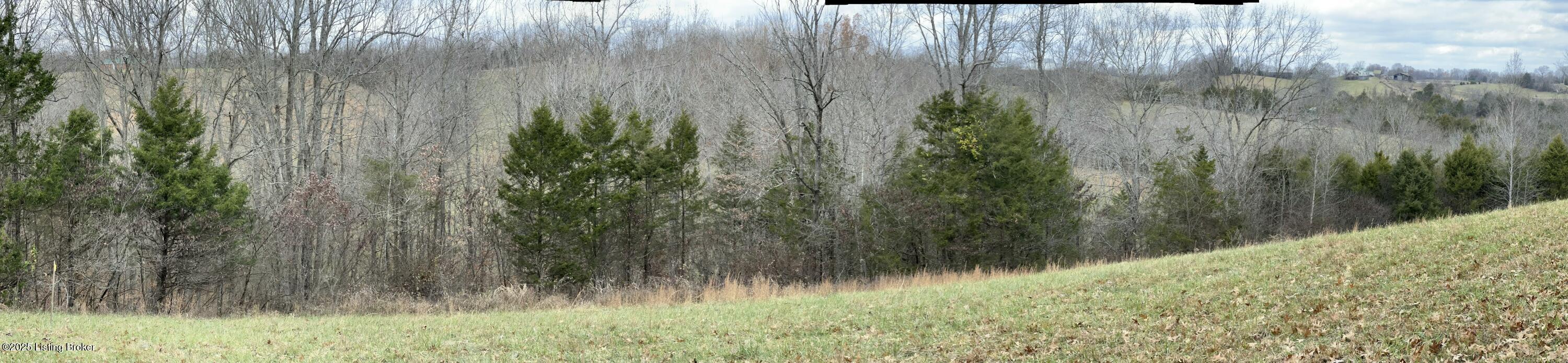 422 Tatum Springs Rd, Willisburg, Kentucky image 3
