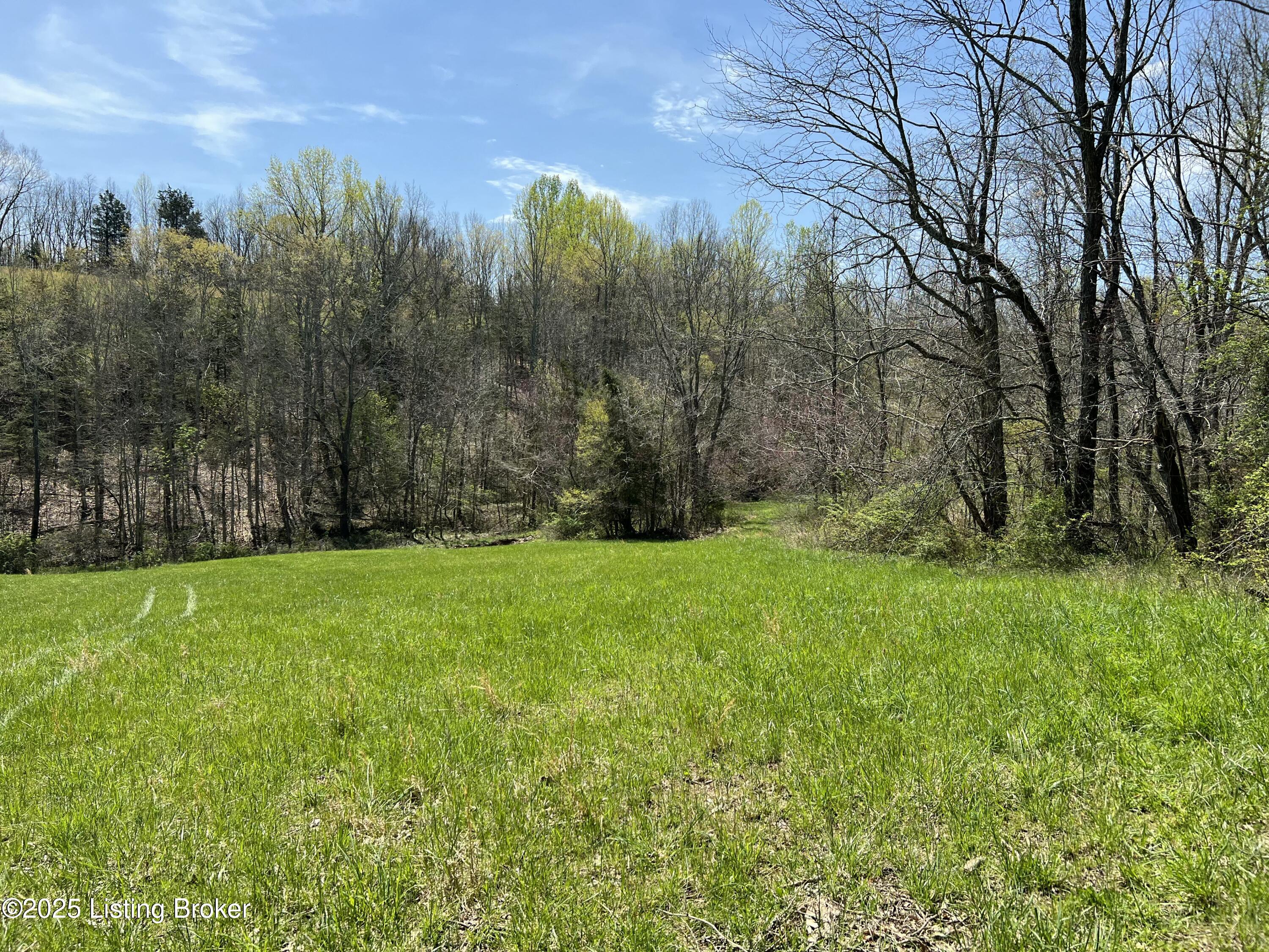 422 Tatum Springs Rd, Willisburg, Kentucky image 16