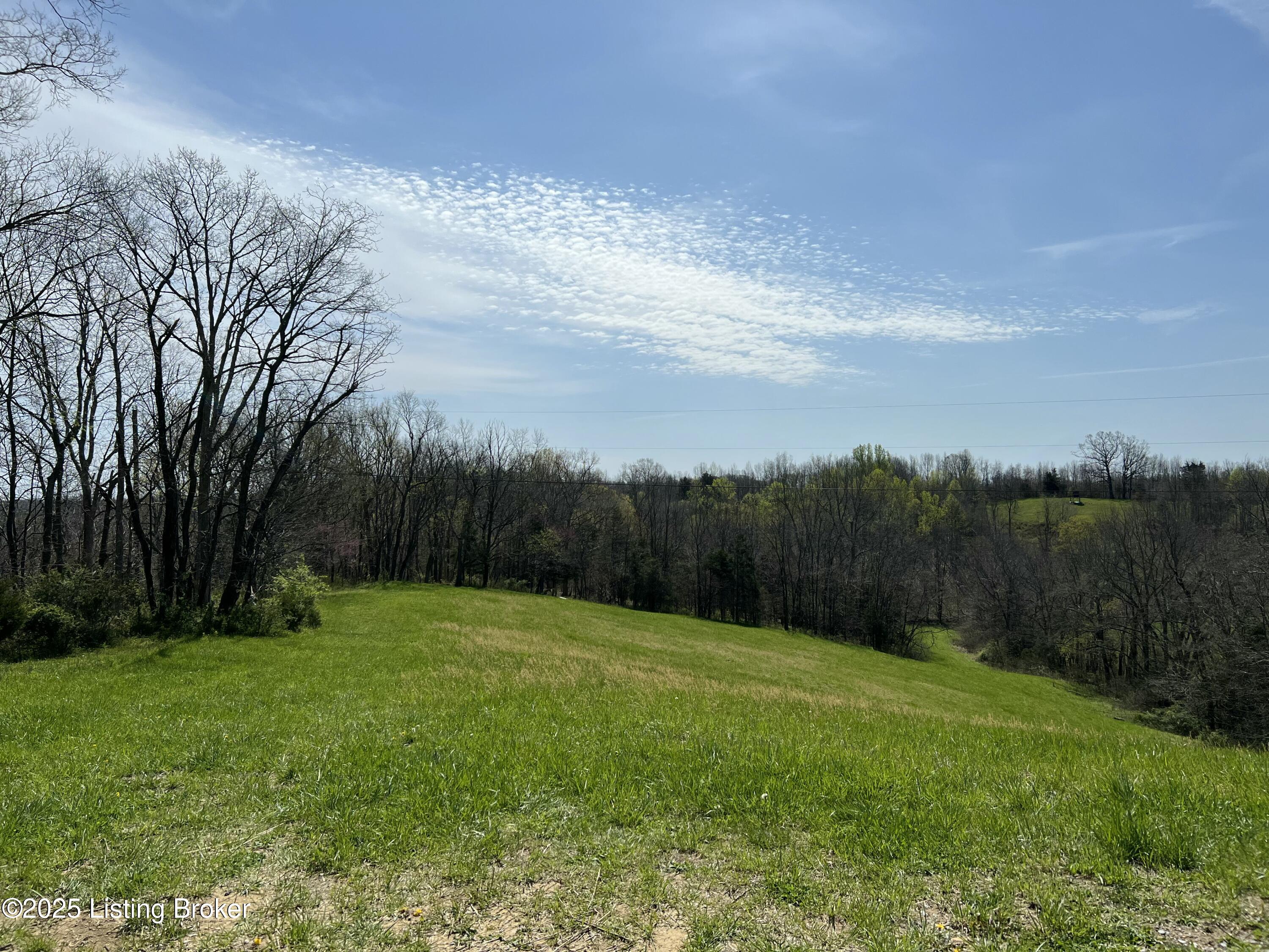 422 Tatum Springs Rd, Willisburg, Kentucky image 19
