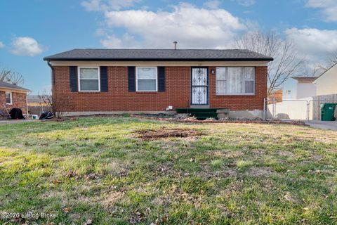 Photo of 163 Blossom Rd, Louisville, KY 40229 (MLS # 1706382)