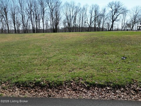 Vacant Land For Sale - 1220 Thomason Cemetery Rd<br/> Grayson County, Leitchfield, KY 42754